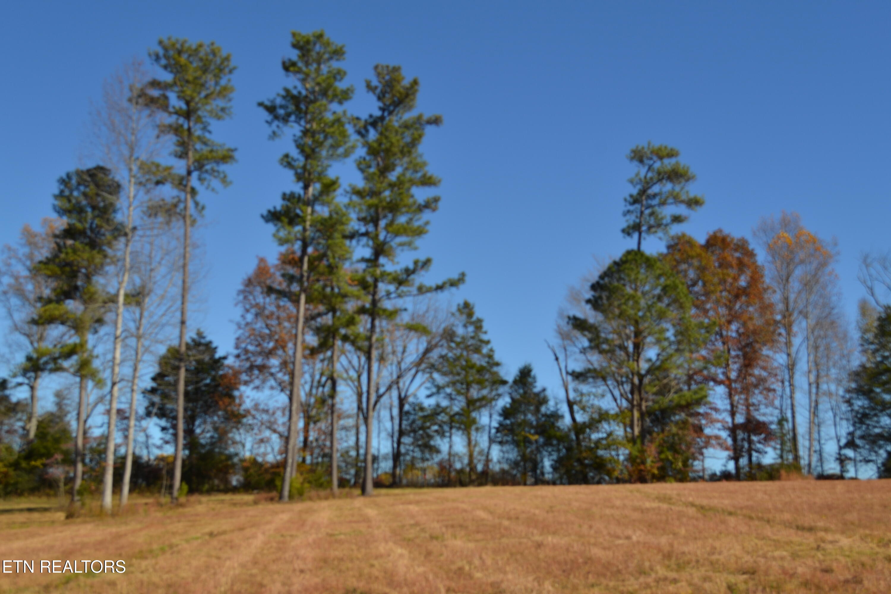 28.30AC Whitson Hollow Road Red Boiling Springs TN 37150