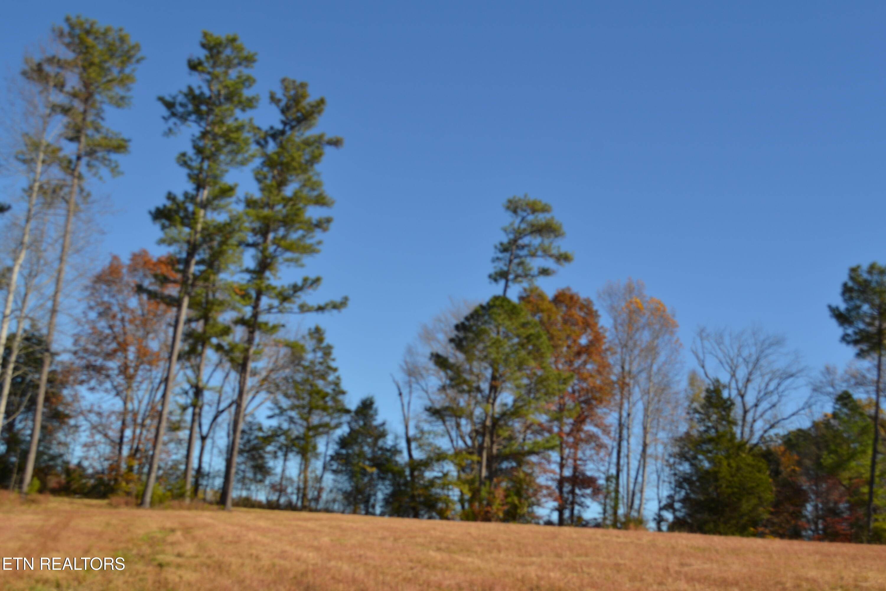 28.30AC Whitson Hollow Road Red Boiling Springs TN 37150