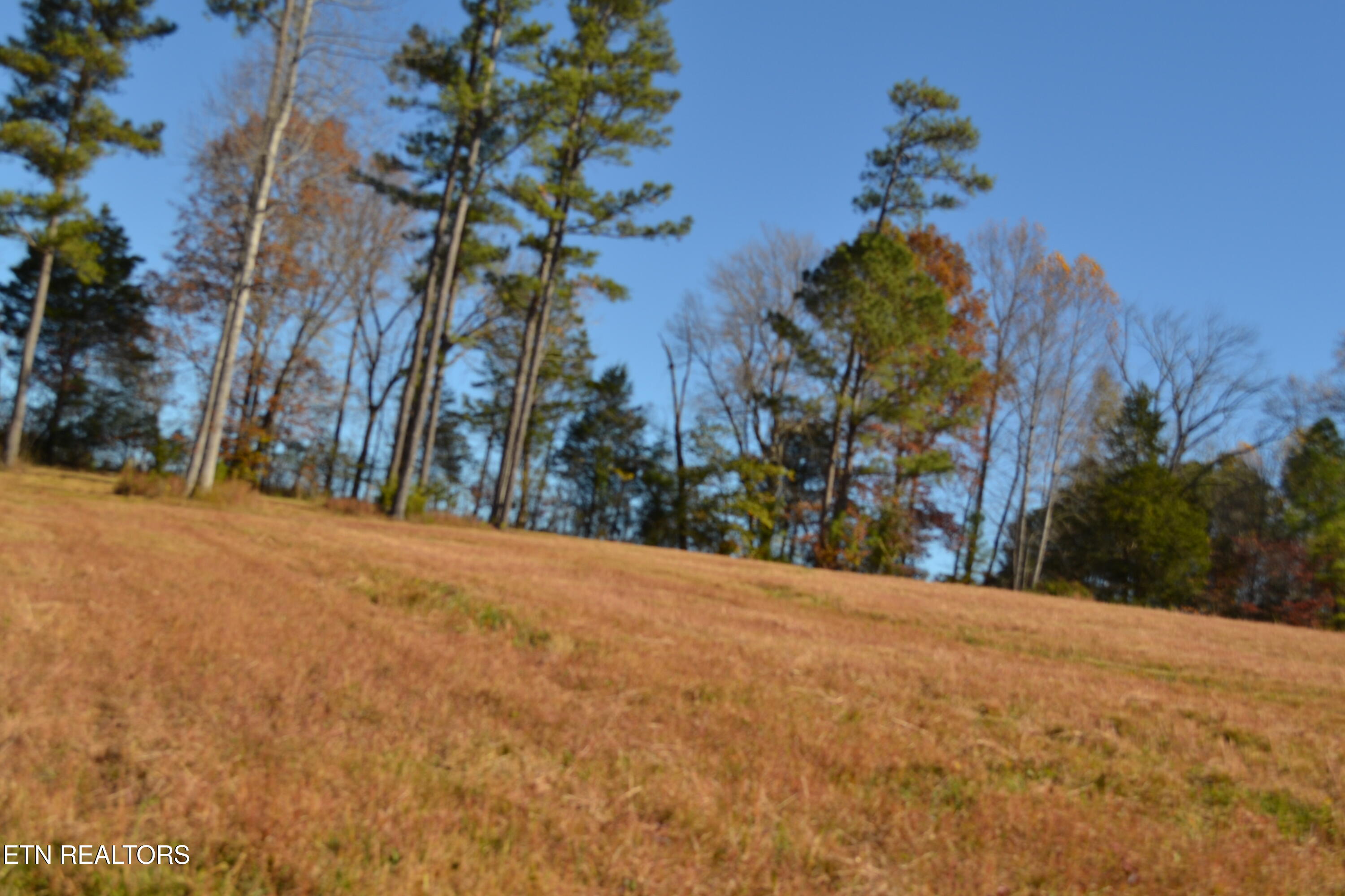 28.30AC Whitson Hollow Road Red Boiling Springs TN 37150