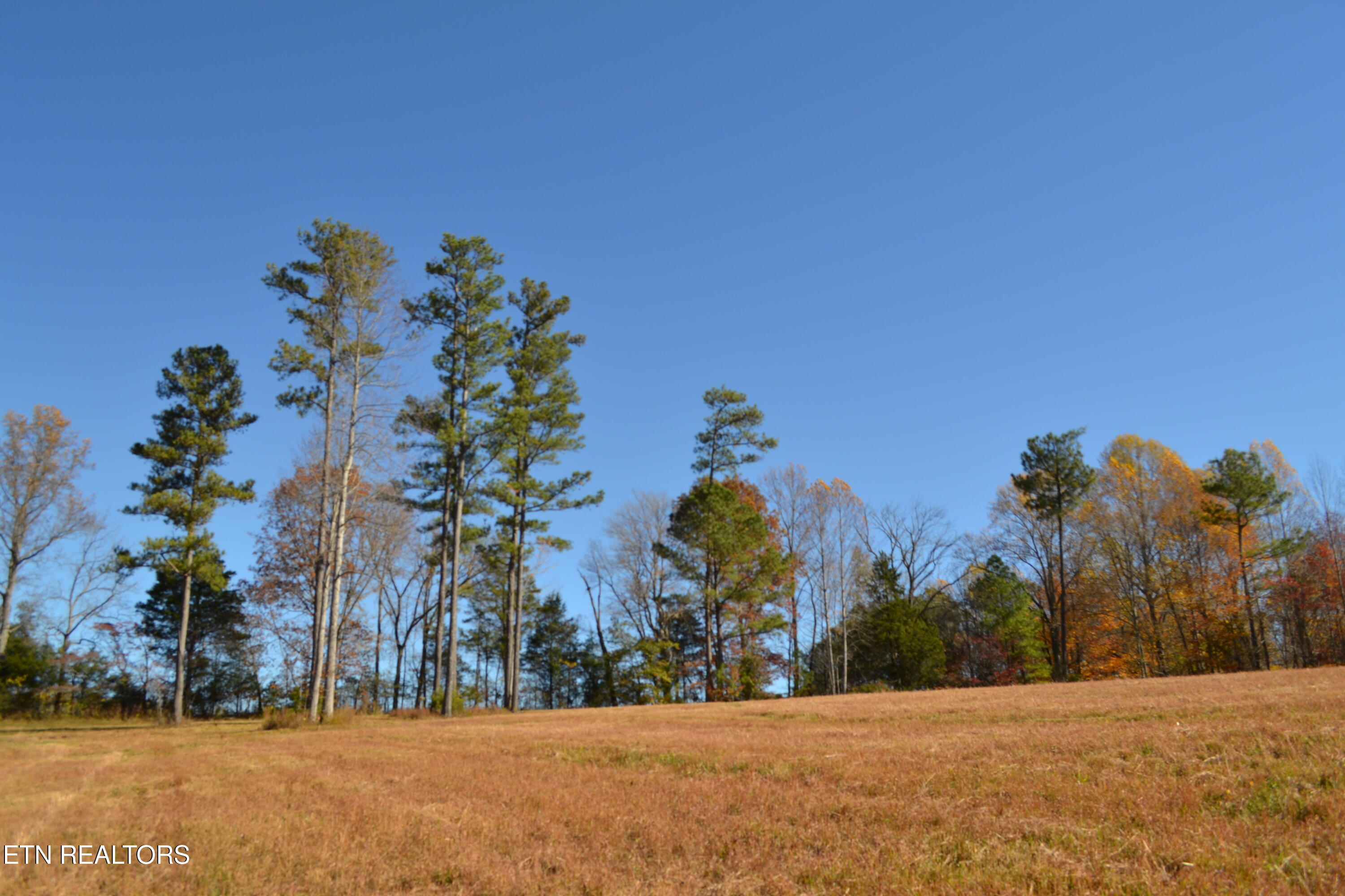 28.30AC Whitson Hollow Road Red Boiling Springs TN 37150