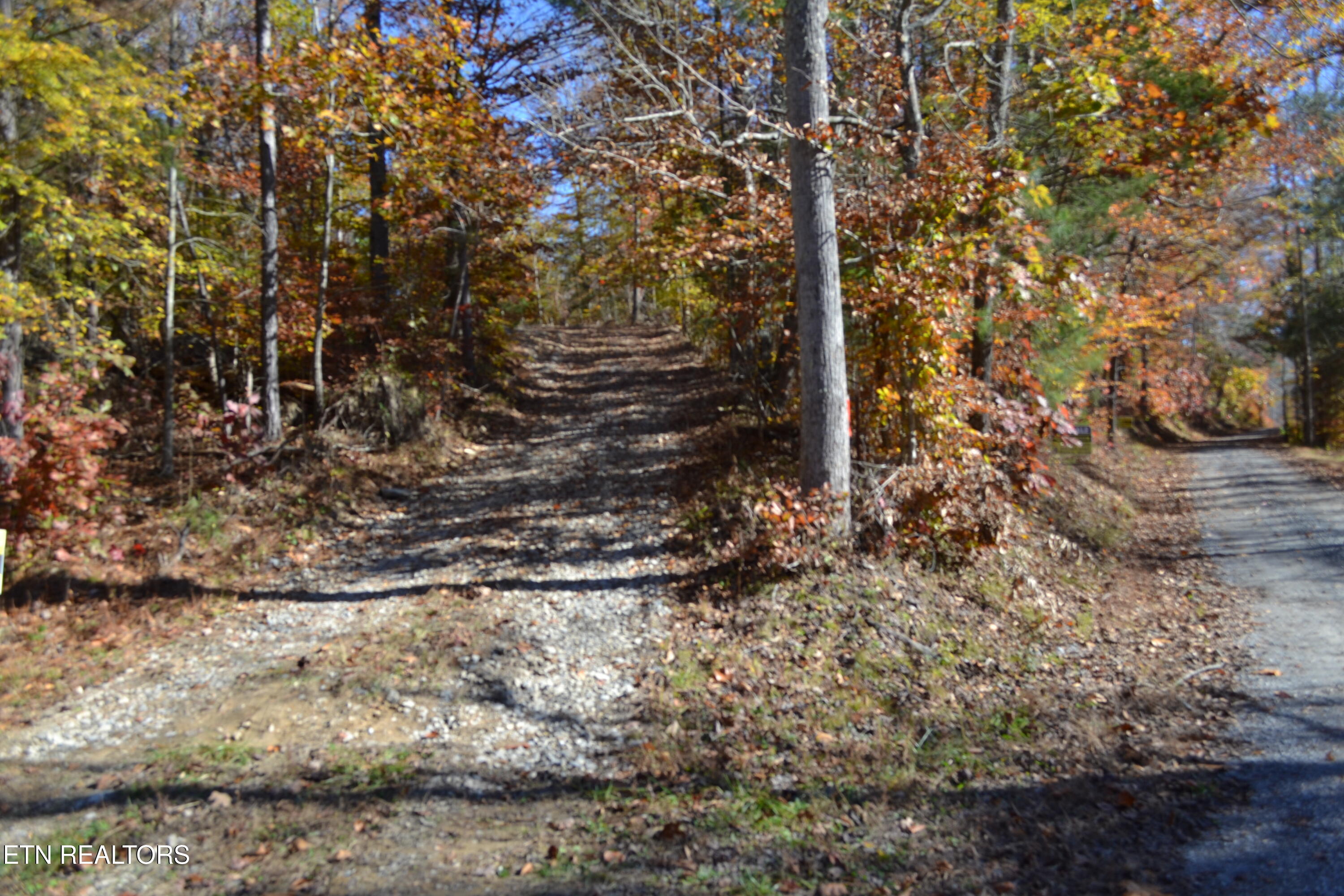 28.30AC Whitson Hollow Road Red Boiling Springs TN 37150