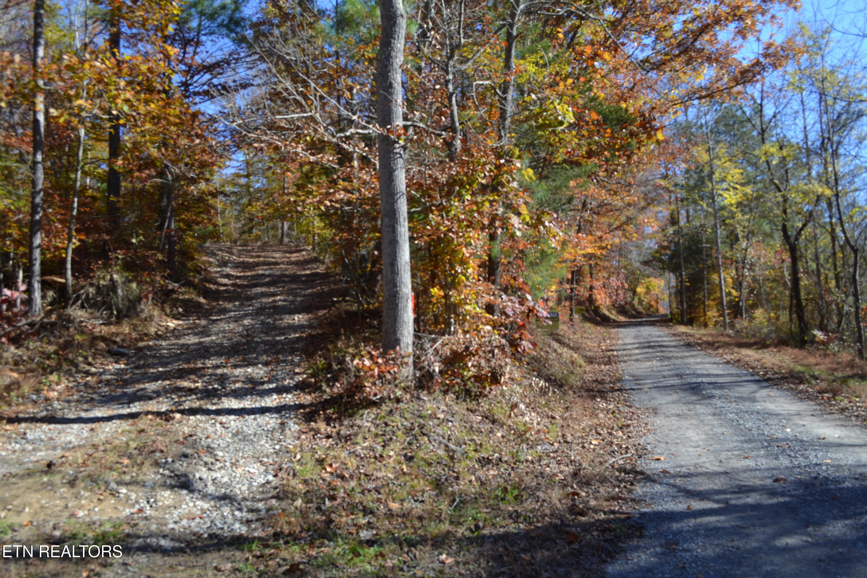 28.30AC Whitson Hollow Road Red Boiling Springs TN 37150