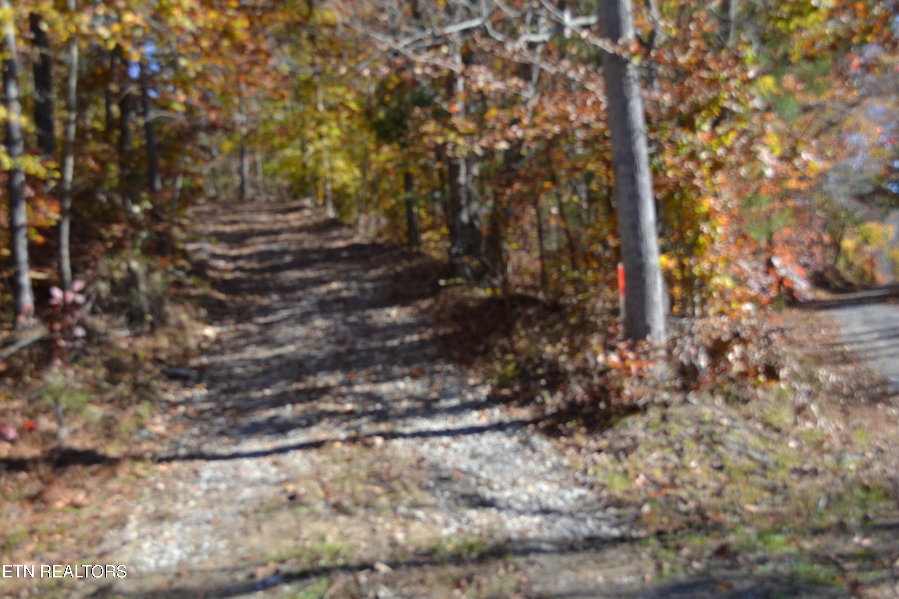 28.30AC Whitson Hollow Road Red Boiling Springs TN 37150