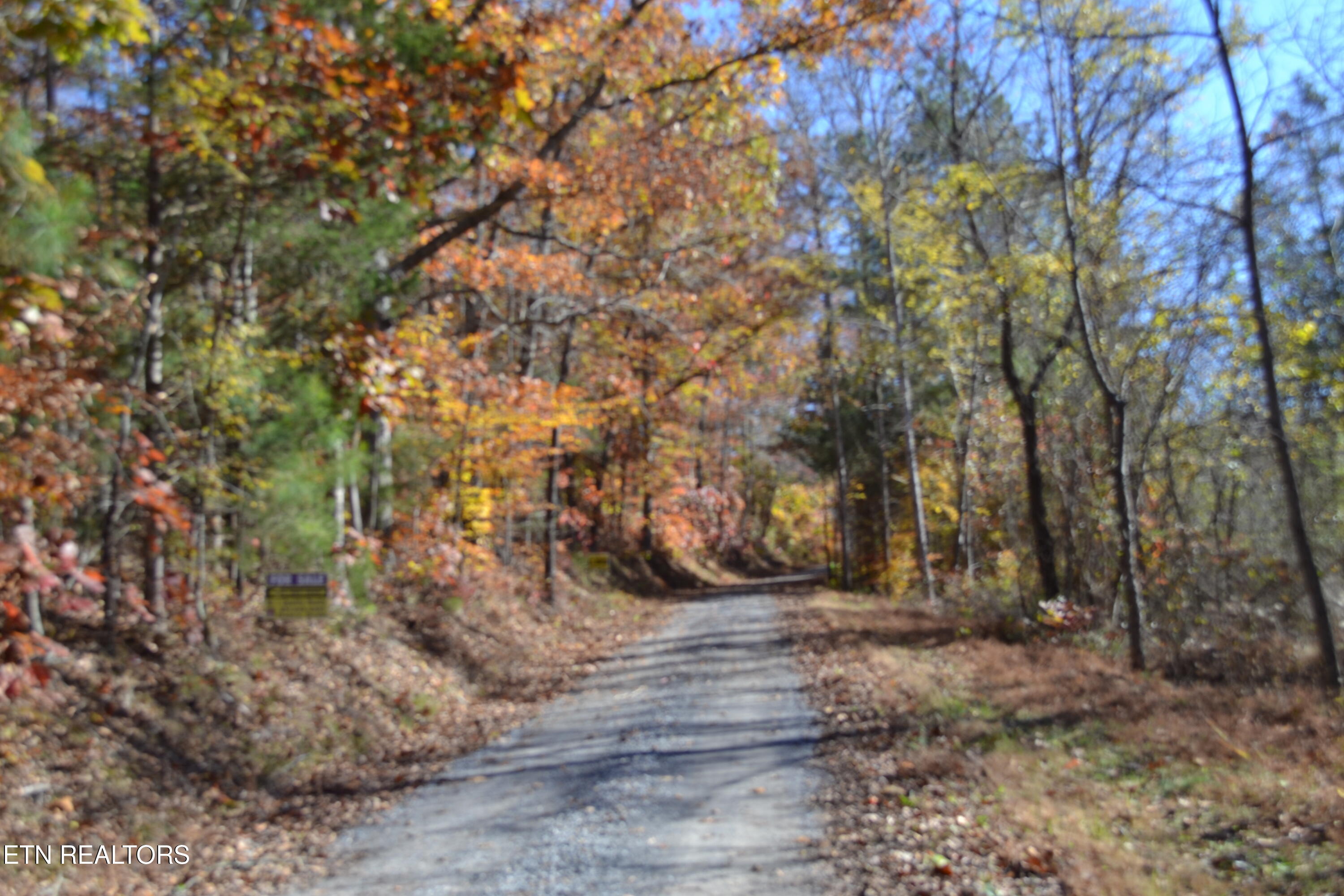 28.30AC Whitson Hollow Road Red Boiling Springs TN 37150
