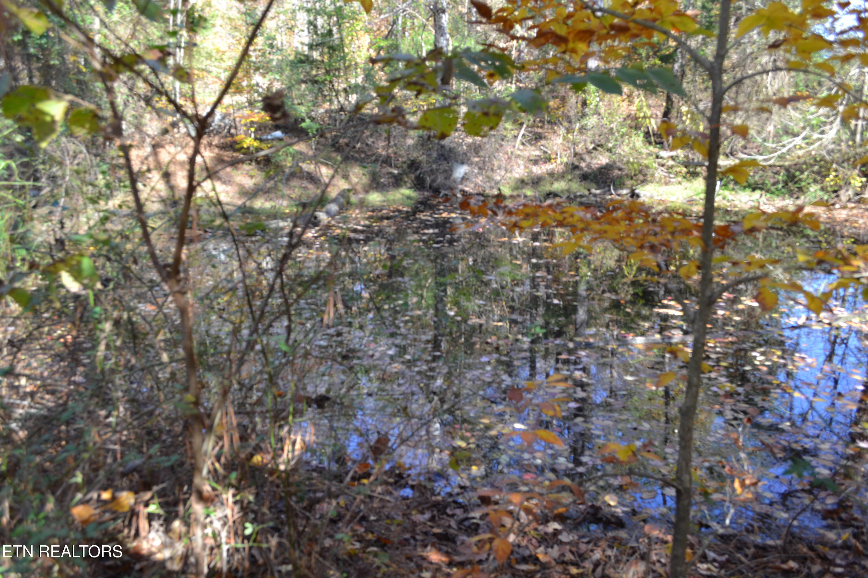 28.30AC Whitson Hollow Road Red Boiling Springs TN 37150