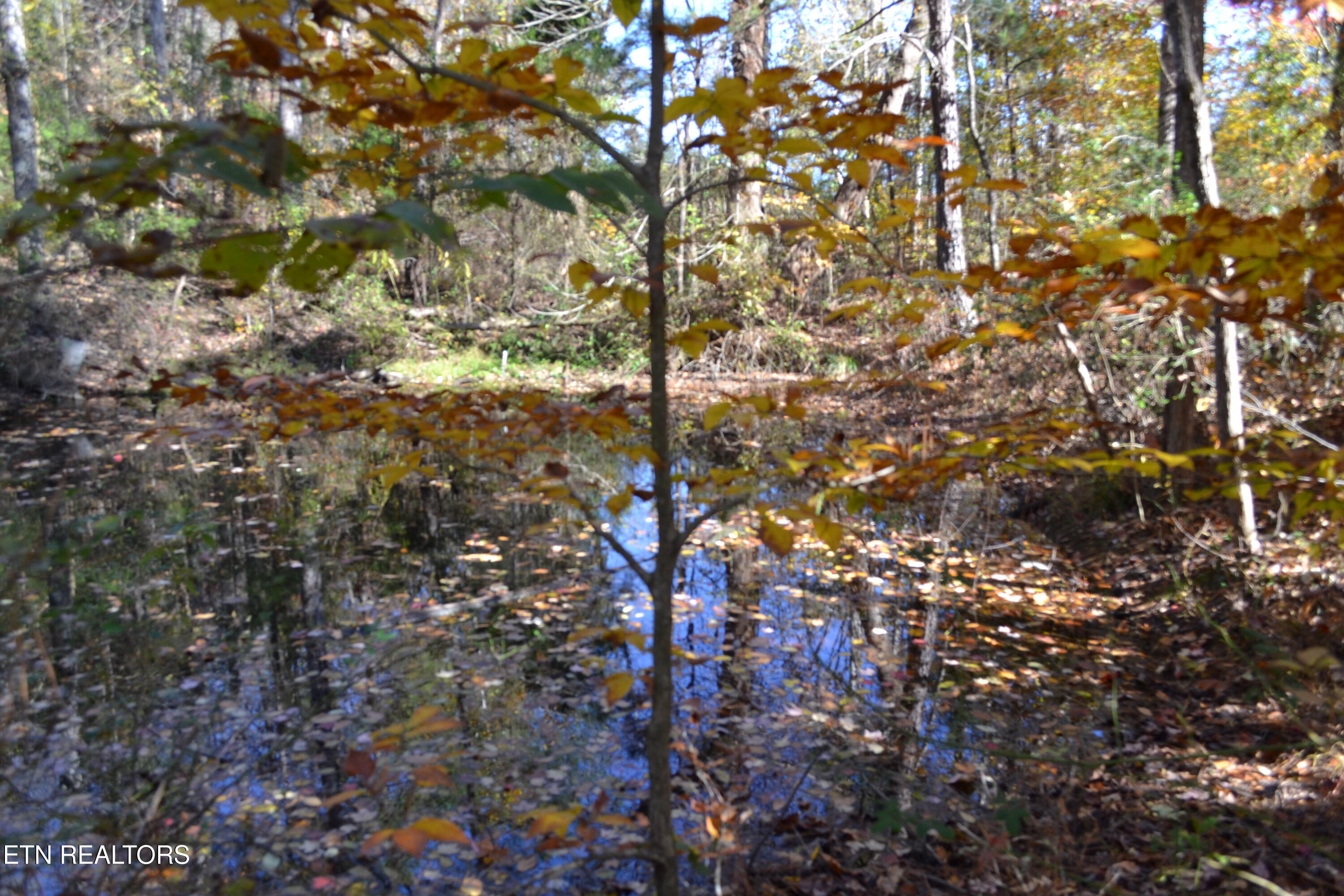 28.30AC Whitson Hollow Road Red Boiling Springs TN 37150