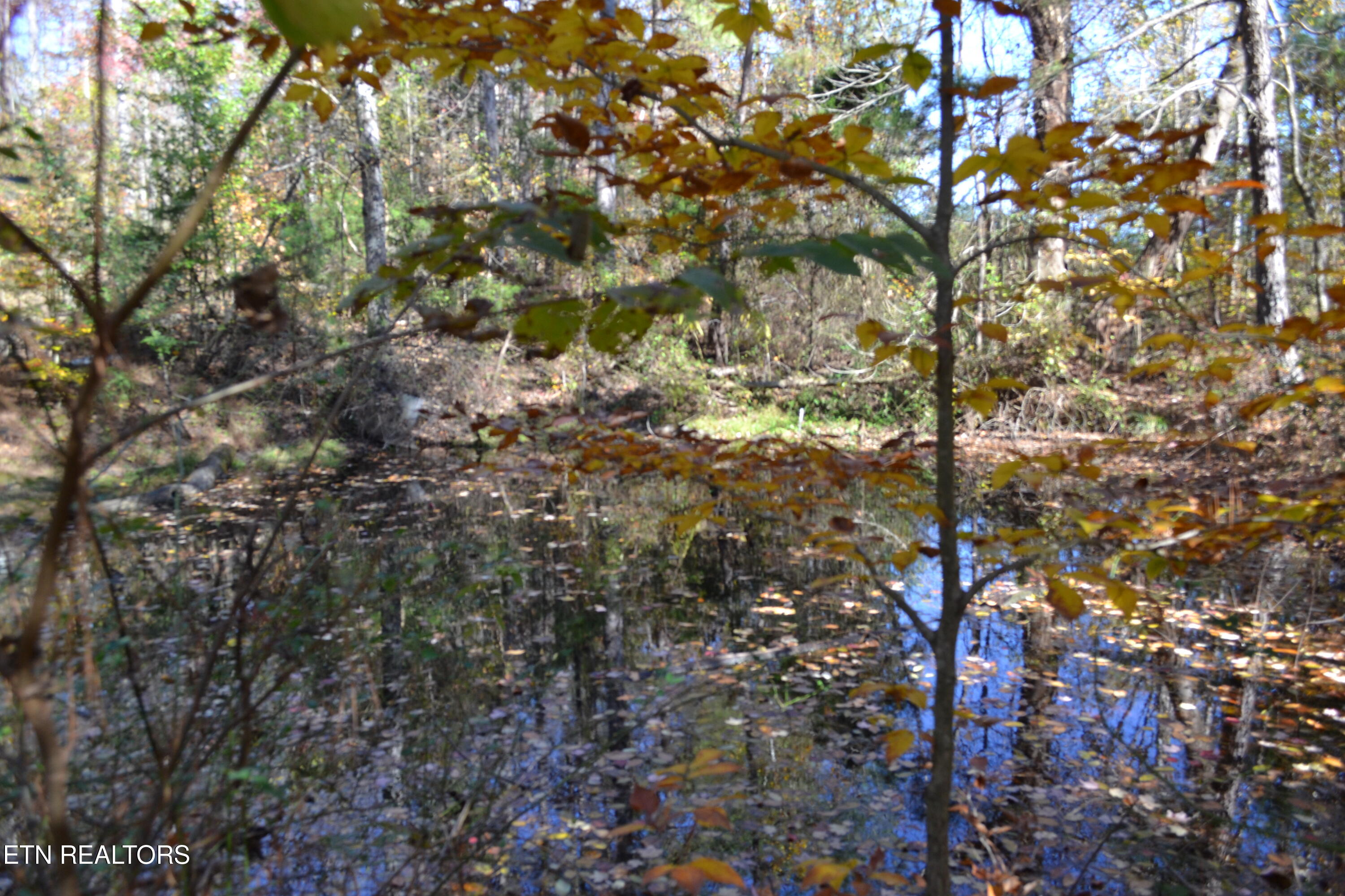 28.30AC Whitson Hollow Road Red Boiling Springs TN 37150