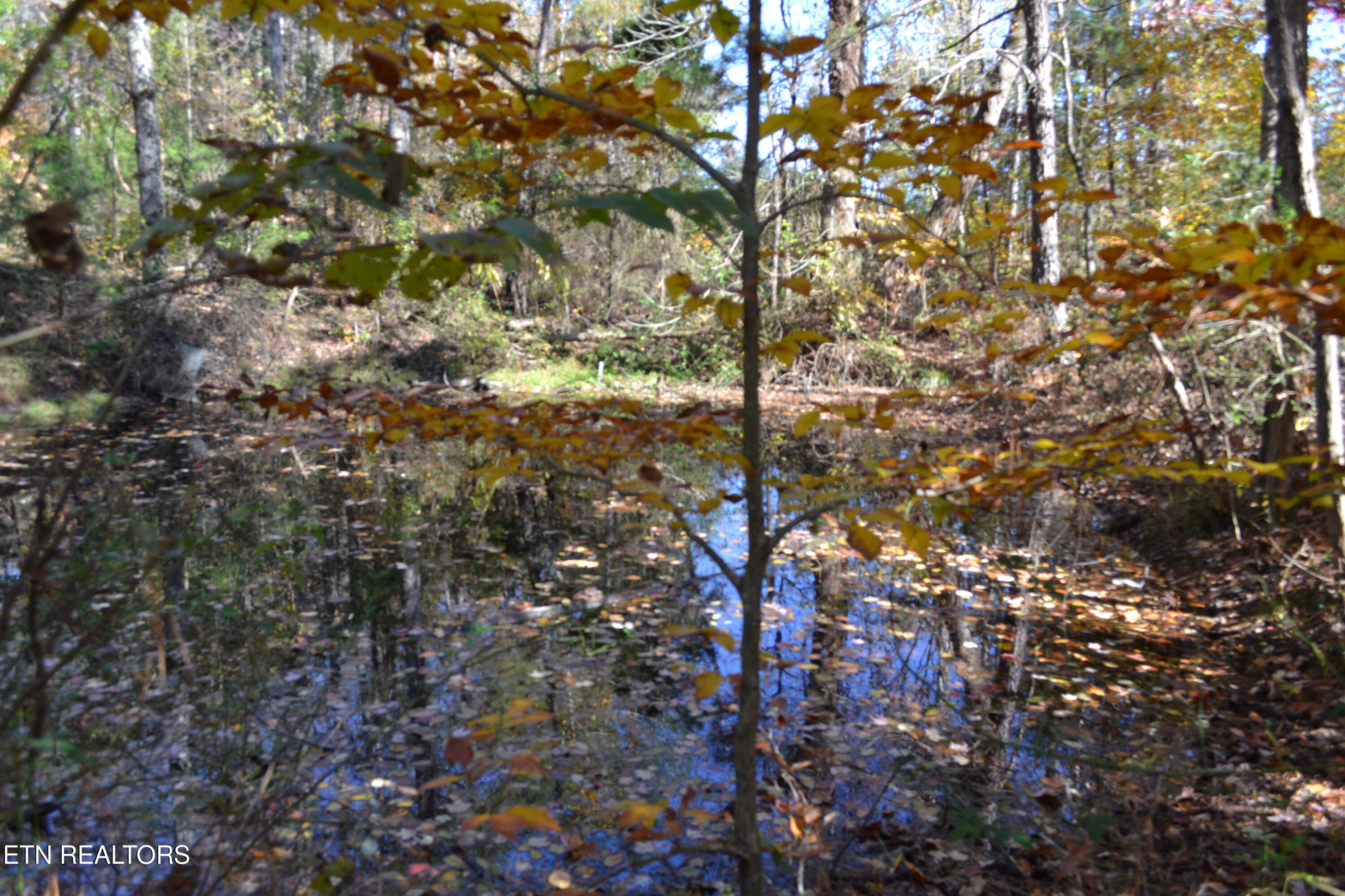 28.30AC Whitson Hollow Road Red Boiling Springs TN 37150