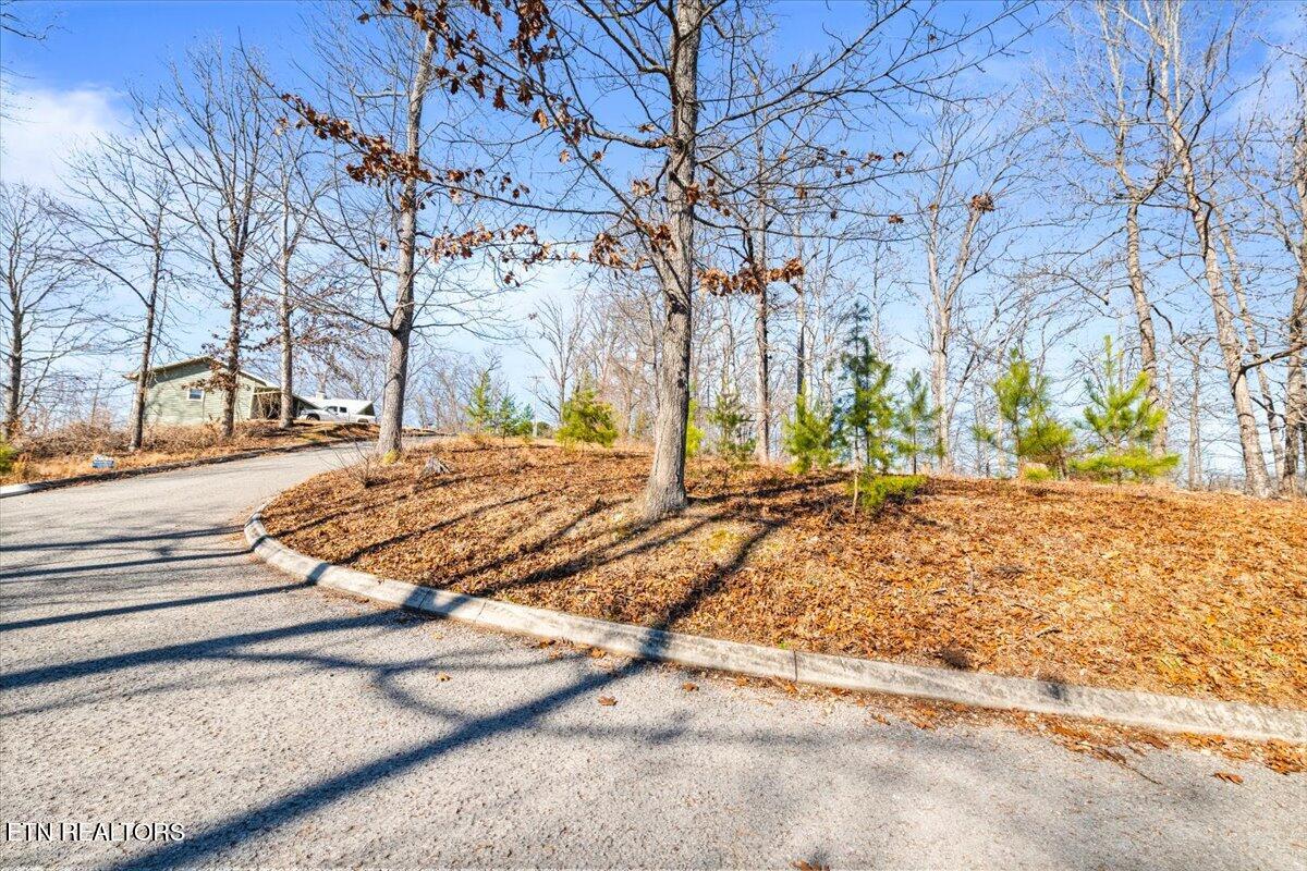 Foxwood Drive Caryville TN 37714
