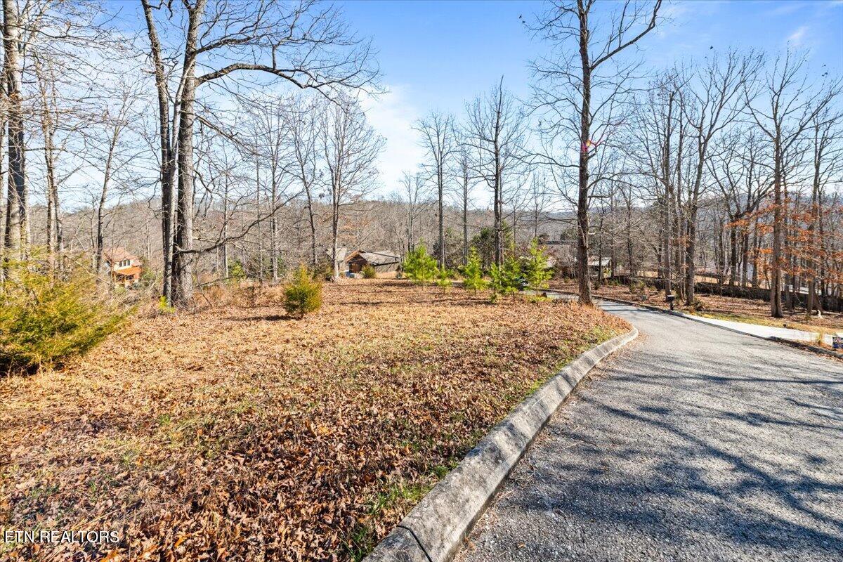 Foxwood Drive Caryville TN 37714