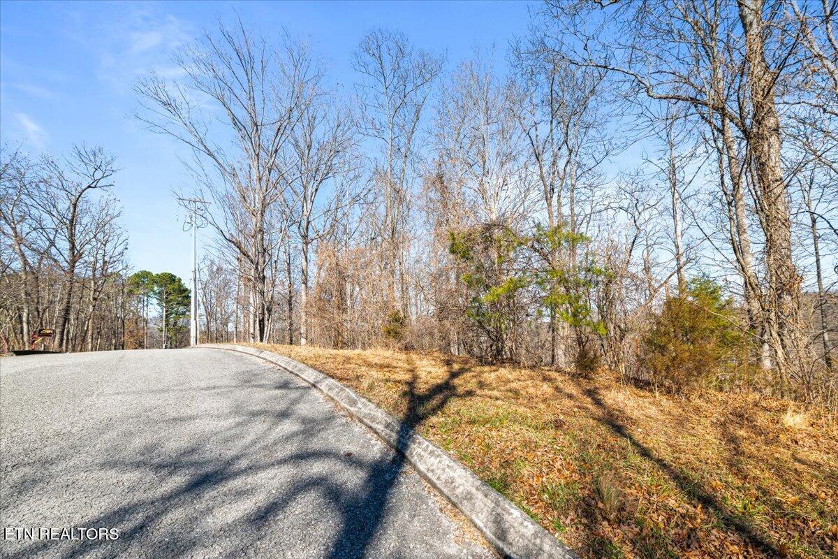 Foxwood Drive Caryville TN 37714