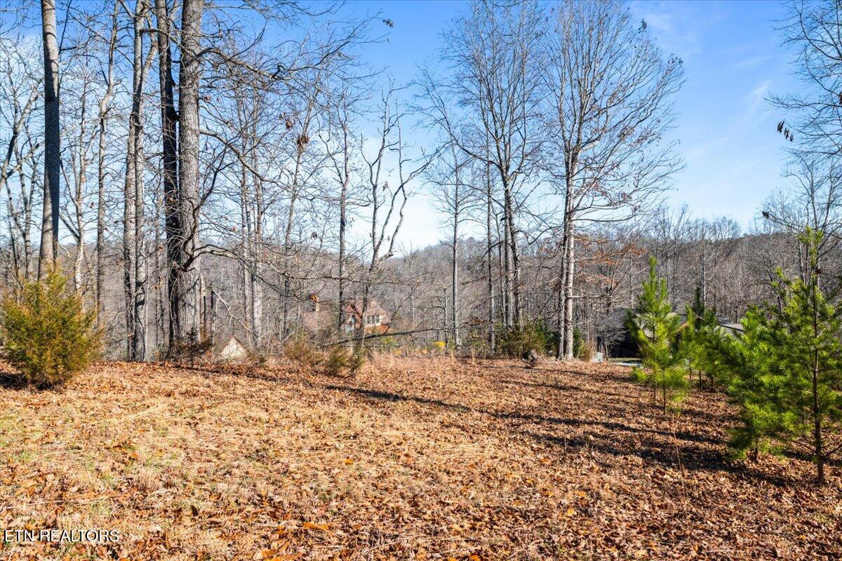 Foxwood Drive Caryville TN 37714