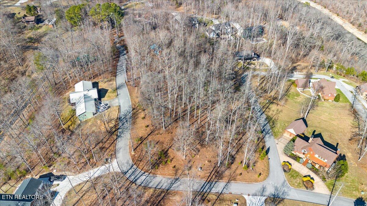 Foxwood Drive Caryville TN 37714