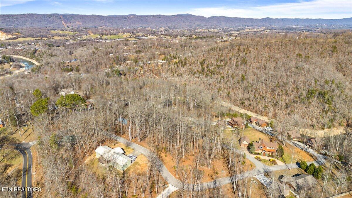 Foxwood Drive Caryville TN 37714