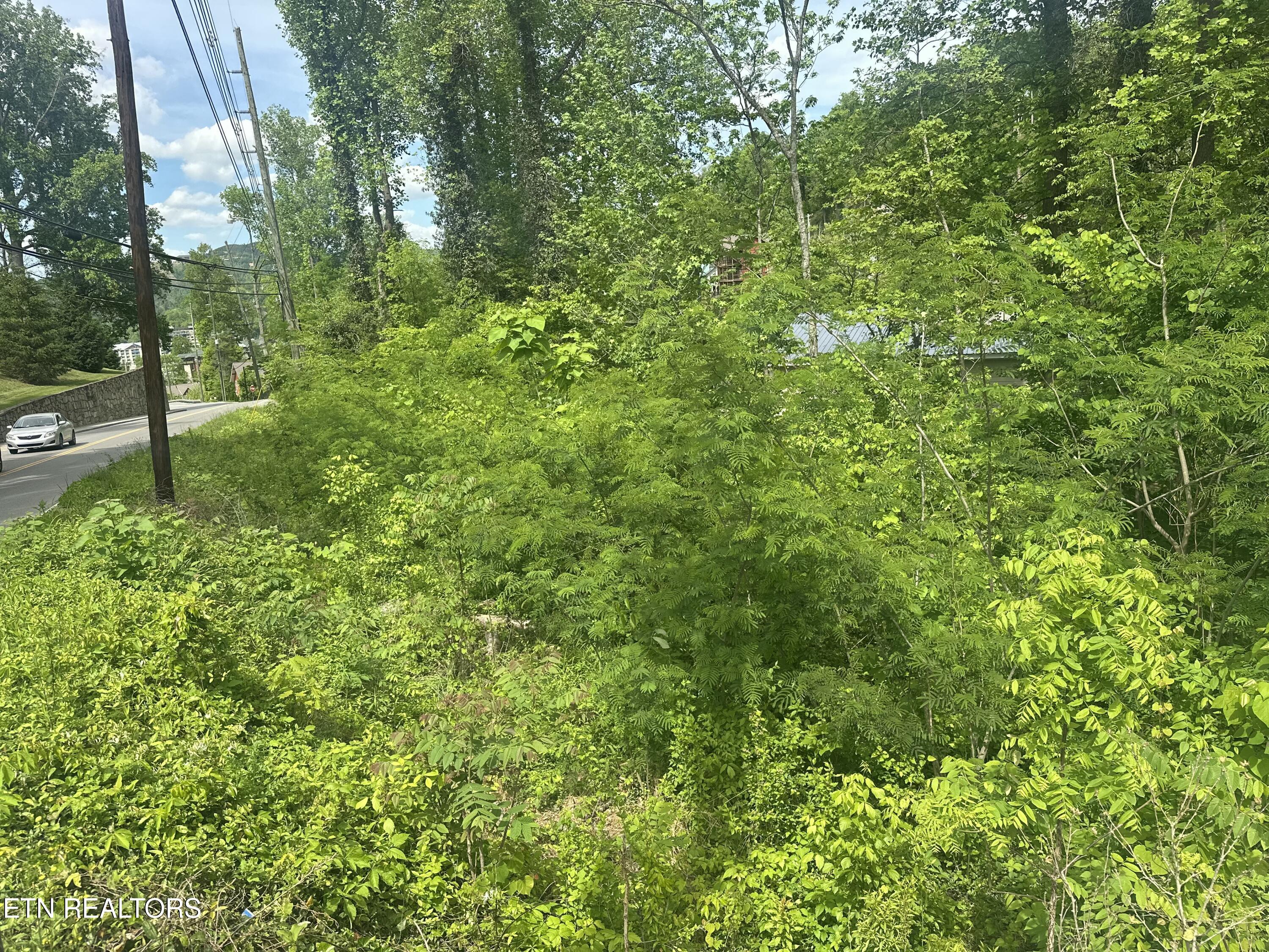 519 Cherokee Orchard Road Gatlinburg TN 37738