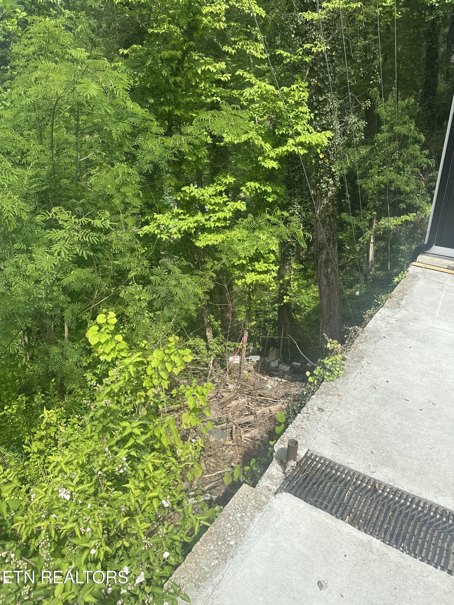 519 Cherokee Orchard Road Gatlinburg TN 37738