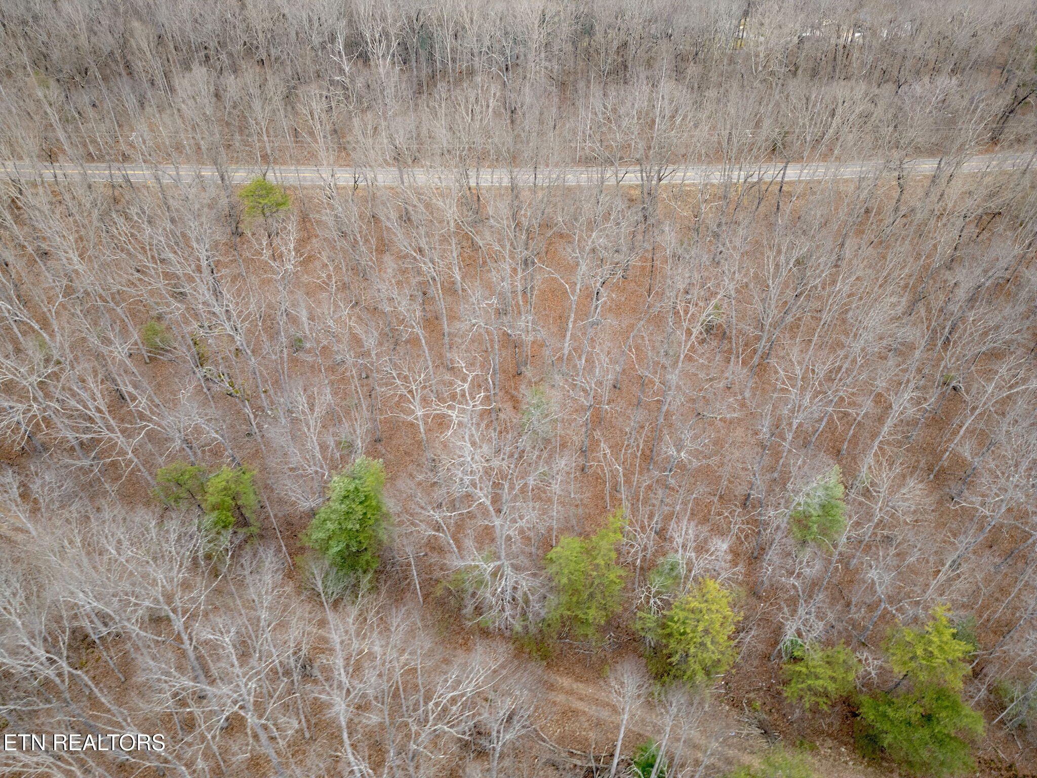 113 Cliffside Drive Crossville TN 38558