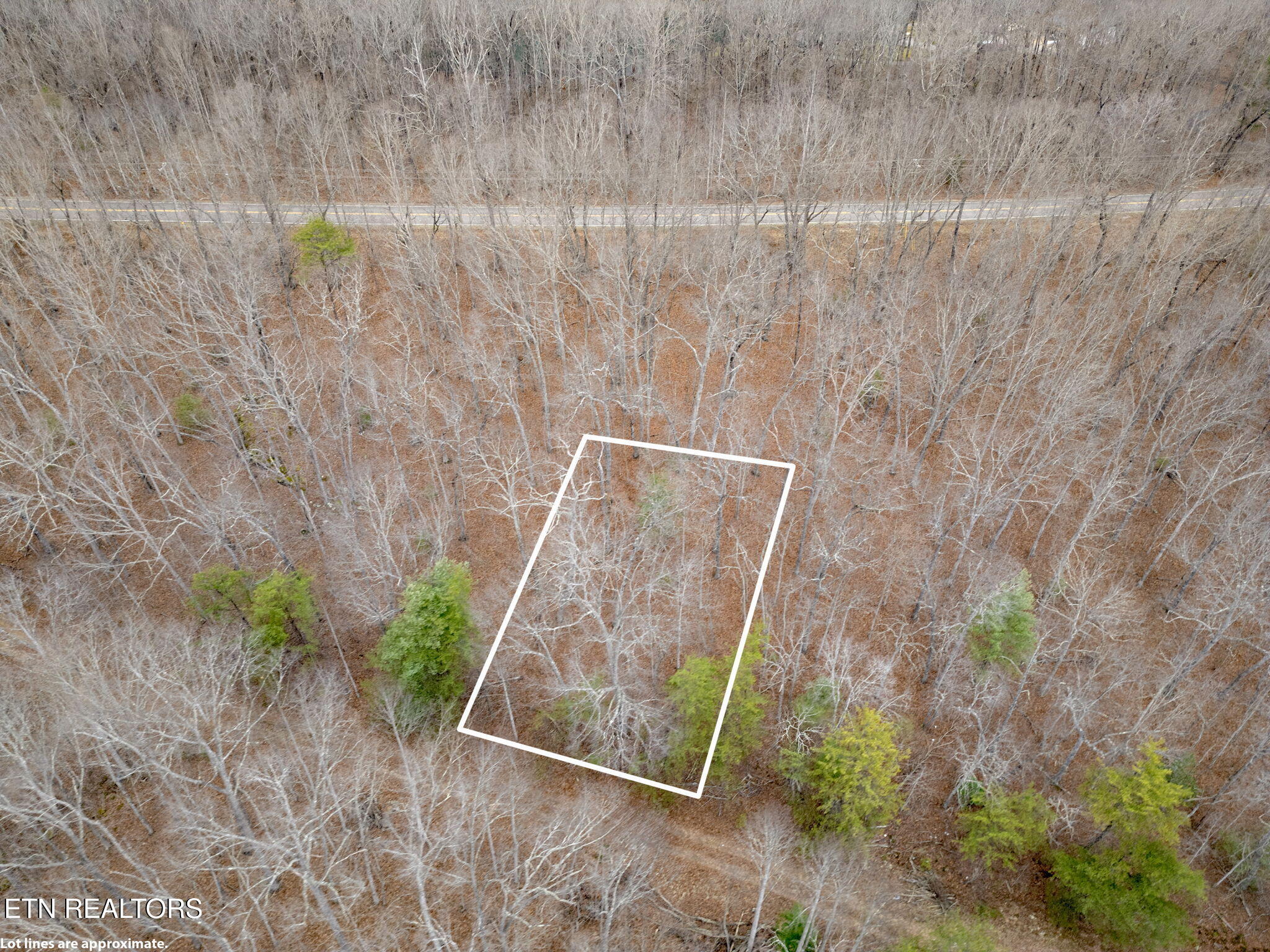 113 Cliffside Drive Crossville TN 38558
