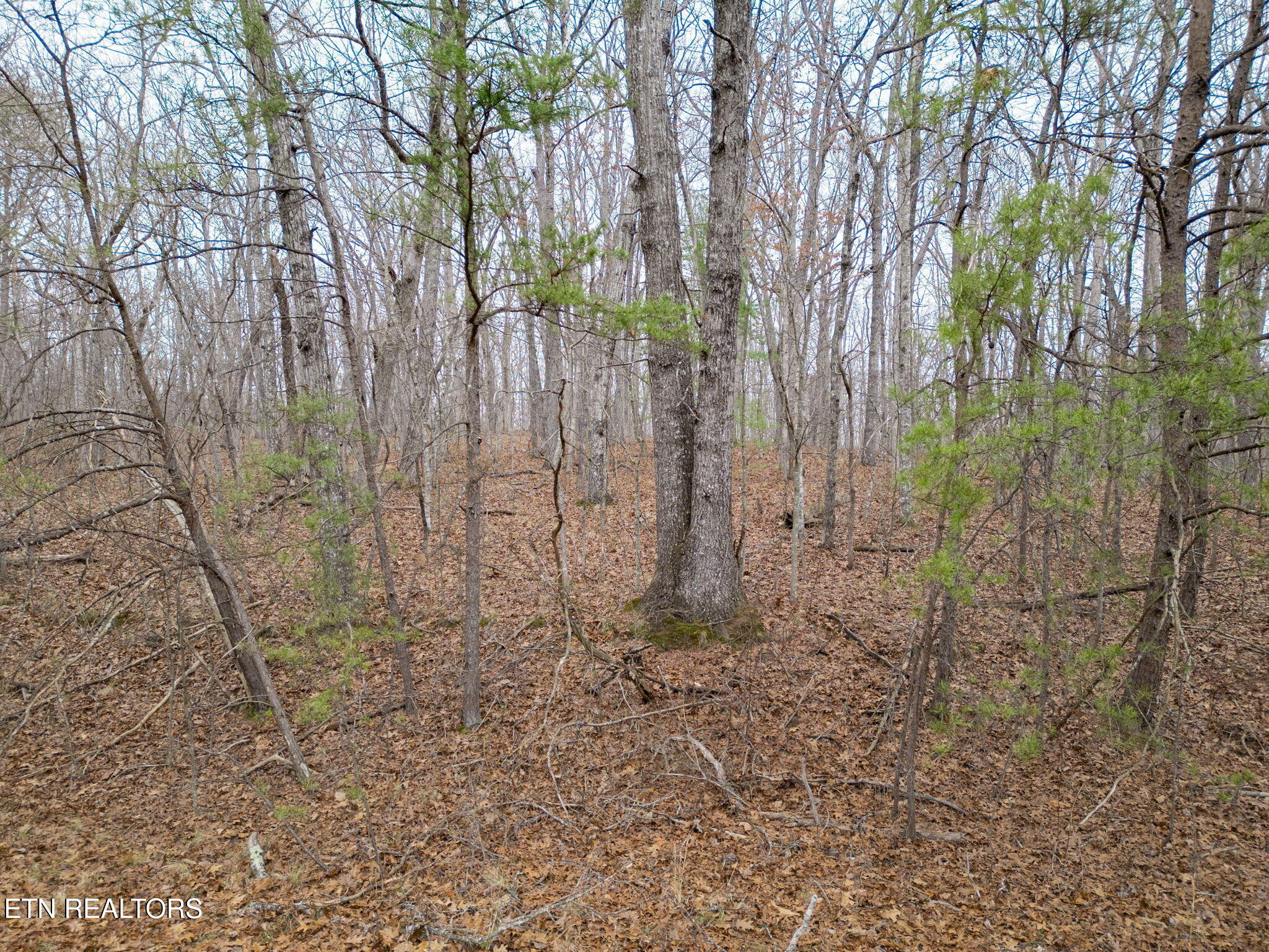 113 Cliffside Drive Crossville TN 38558