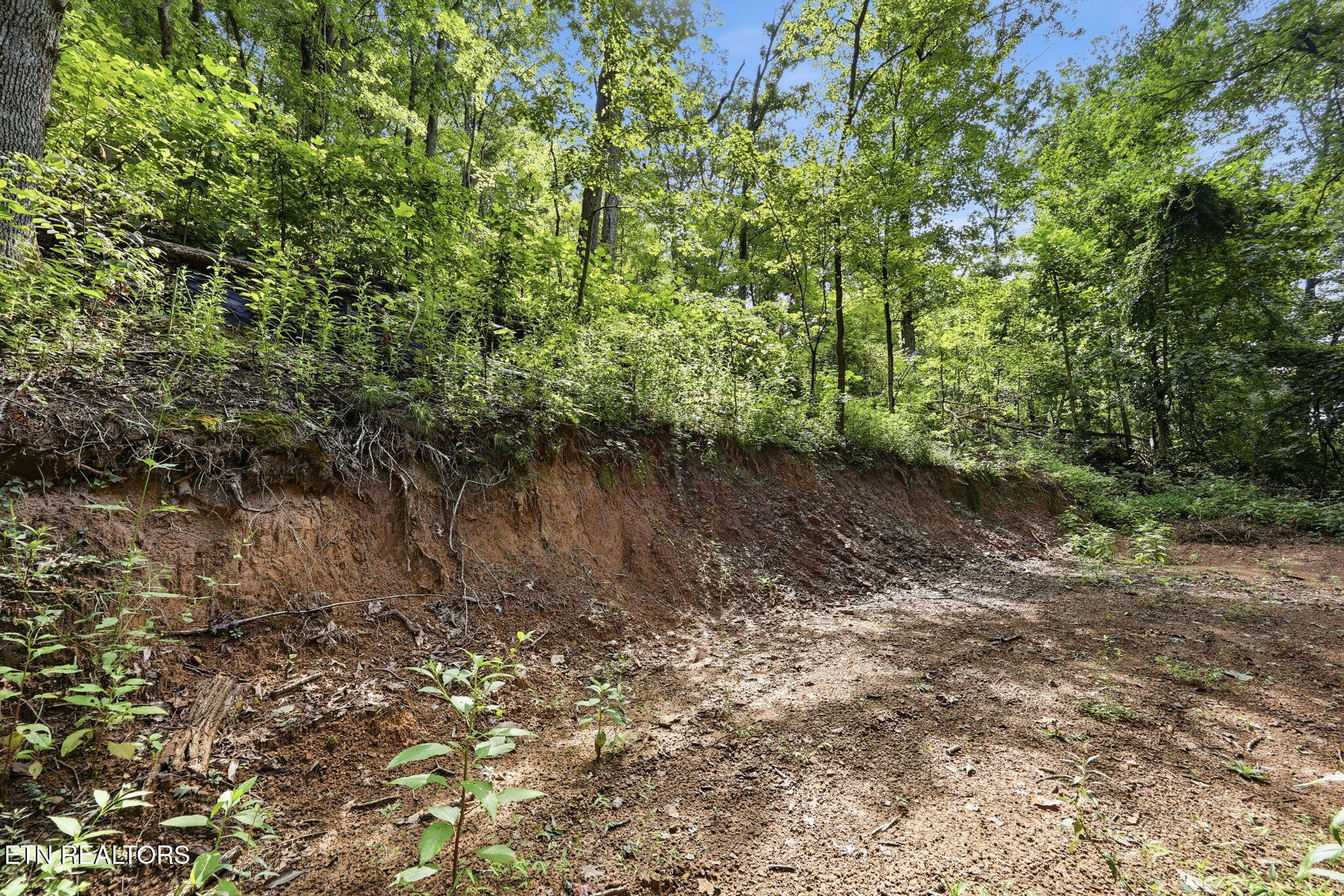0 Dry Gap Pike Knoxville TN 37918