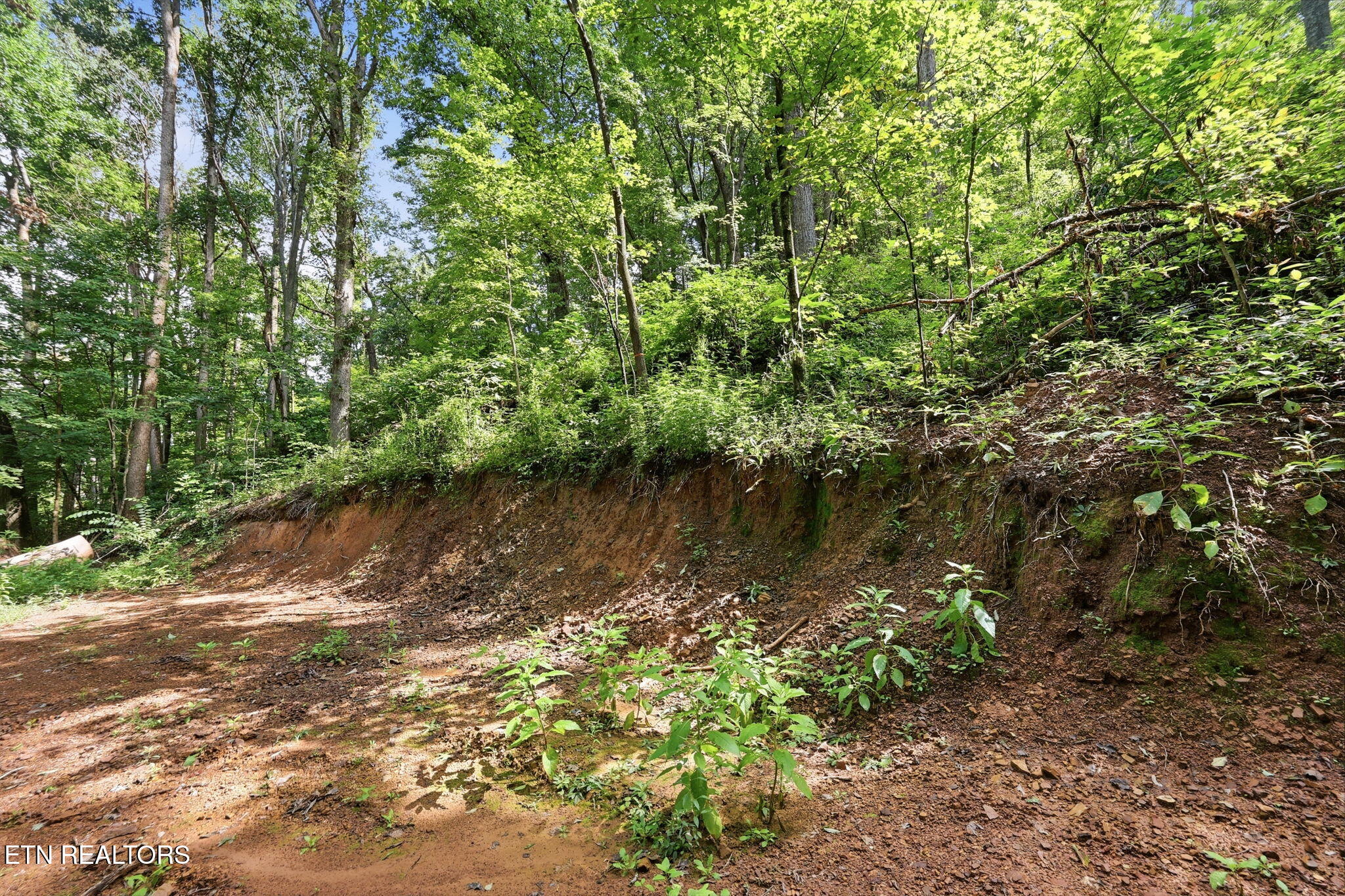 0 Dry Gap Pike Knoxville TN 37918