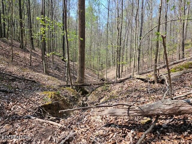 5 Acres Benton Tidwell Road Hilham TN 38568