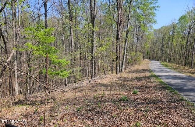 5 Acres Benton Tidwell Road Hilham TN 38568