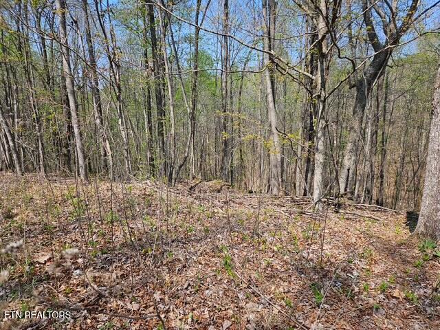 5 Acres Benton Tidwell Road Hilham TN 38568