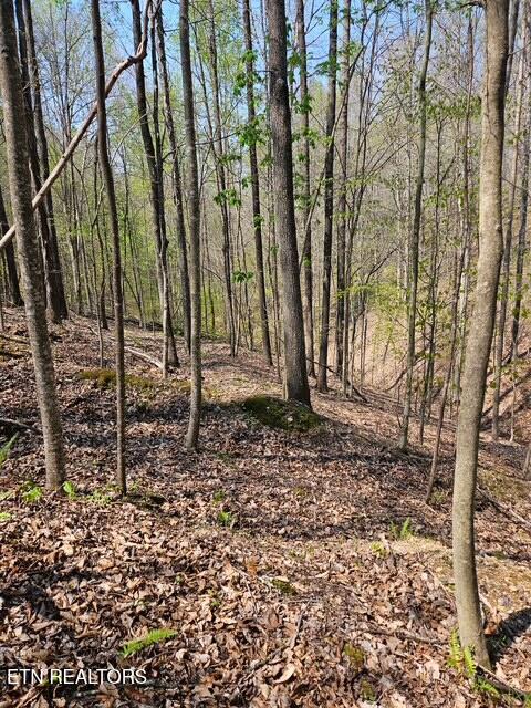 5 Acres Benton Tidwell Road Hilham TN 38568
