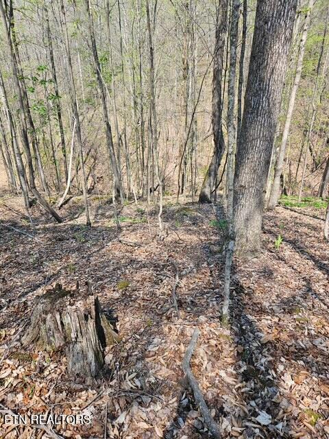 5 Acres Benton Tidwell Road Hilham TN 38568