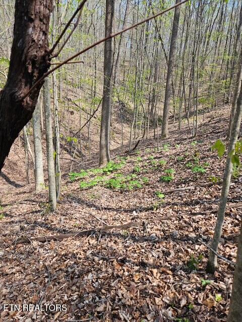 5 Acres Benton Tidwell Road Hilham TN 38568