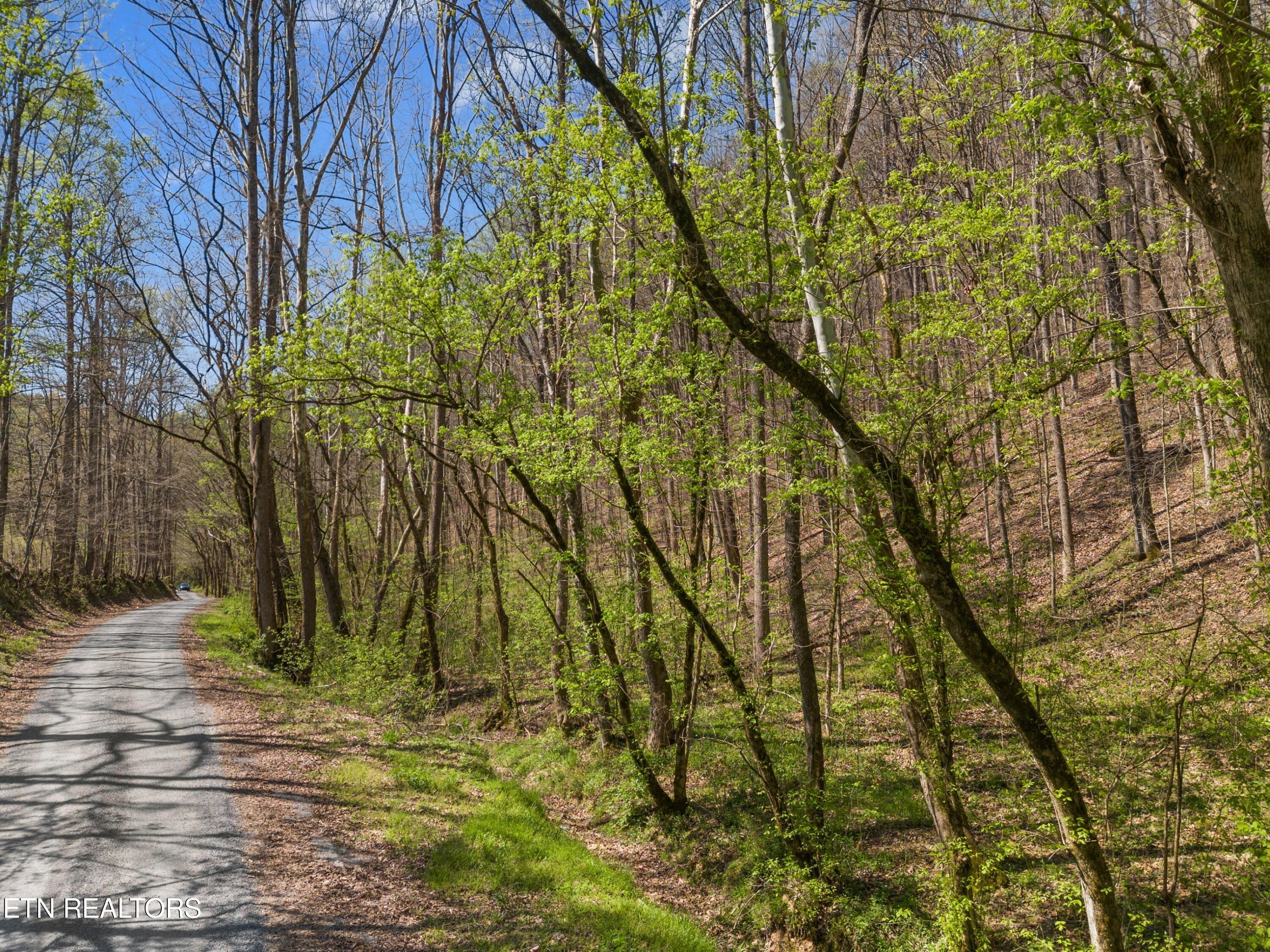 Greever Hollow Road Tazewell TN 37879