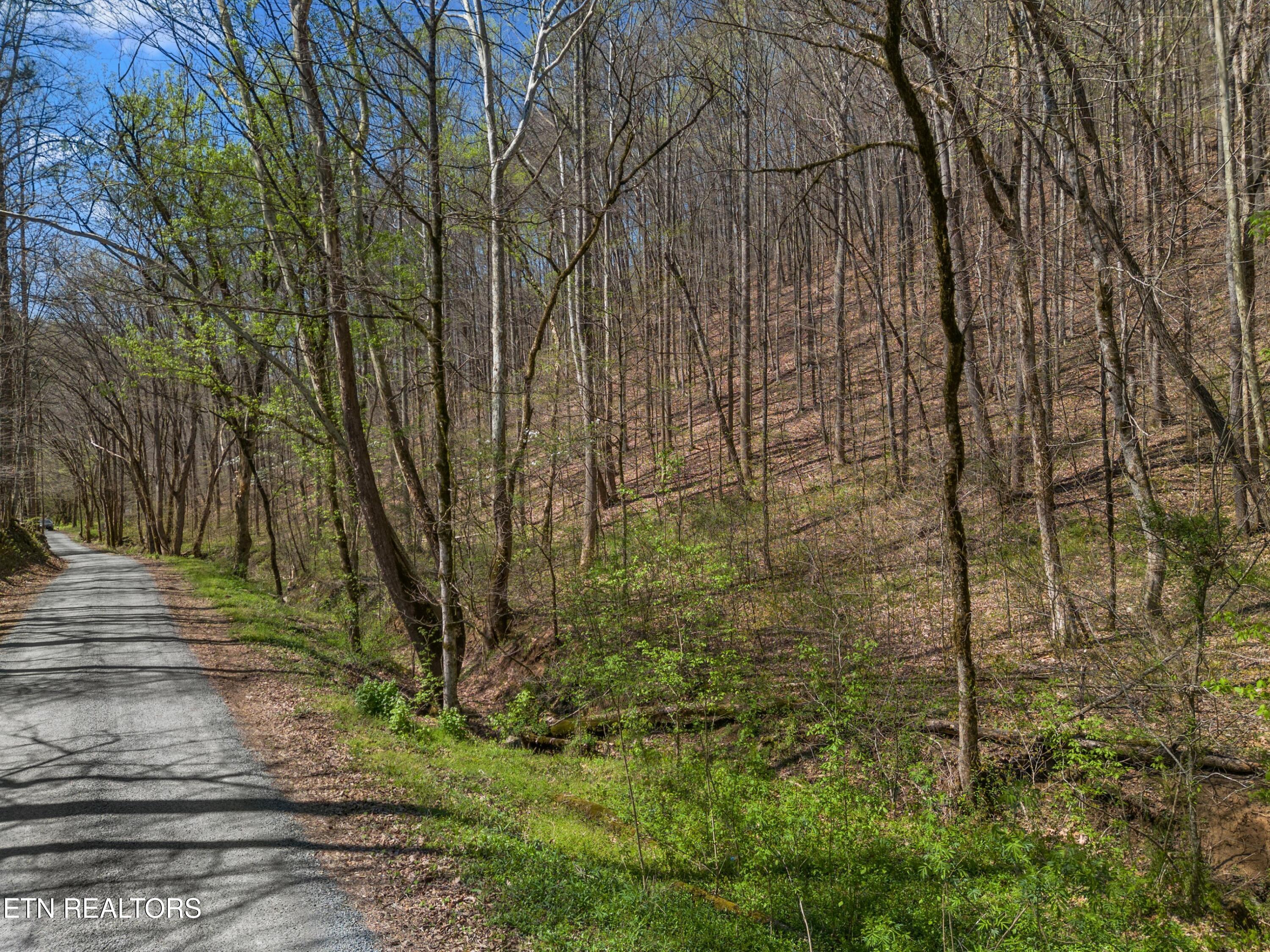 Greever Hollow Road Tazewell TN 37879
