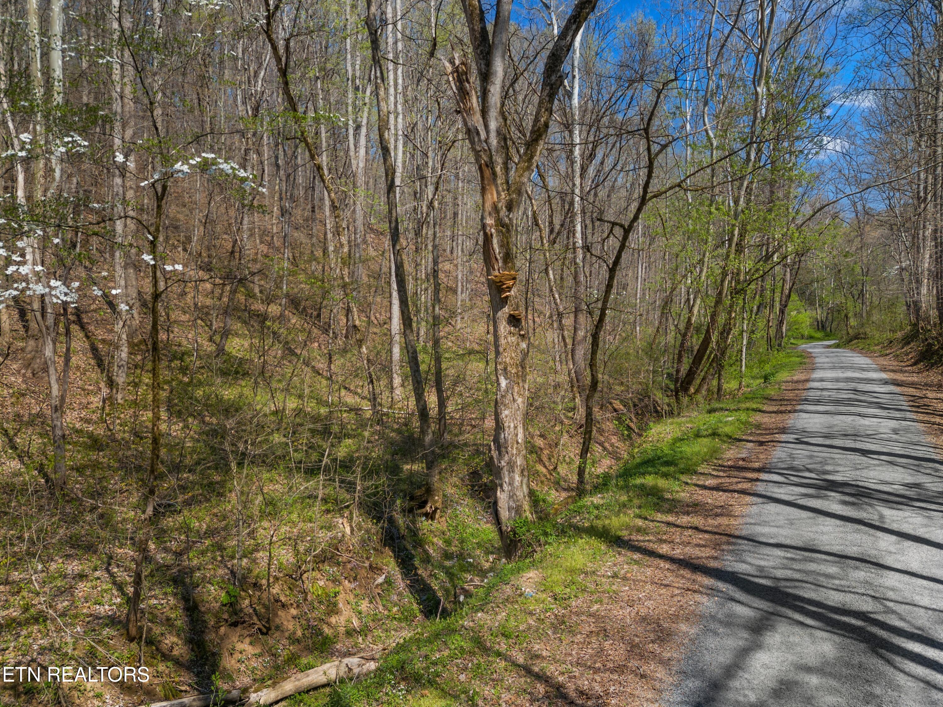 Greever Hollow Road Tazewell TN 37879