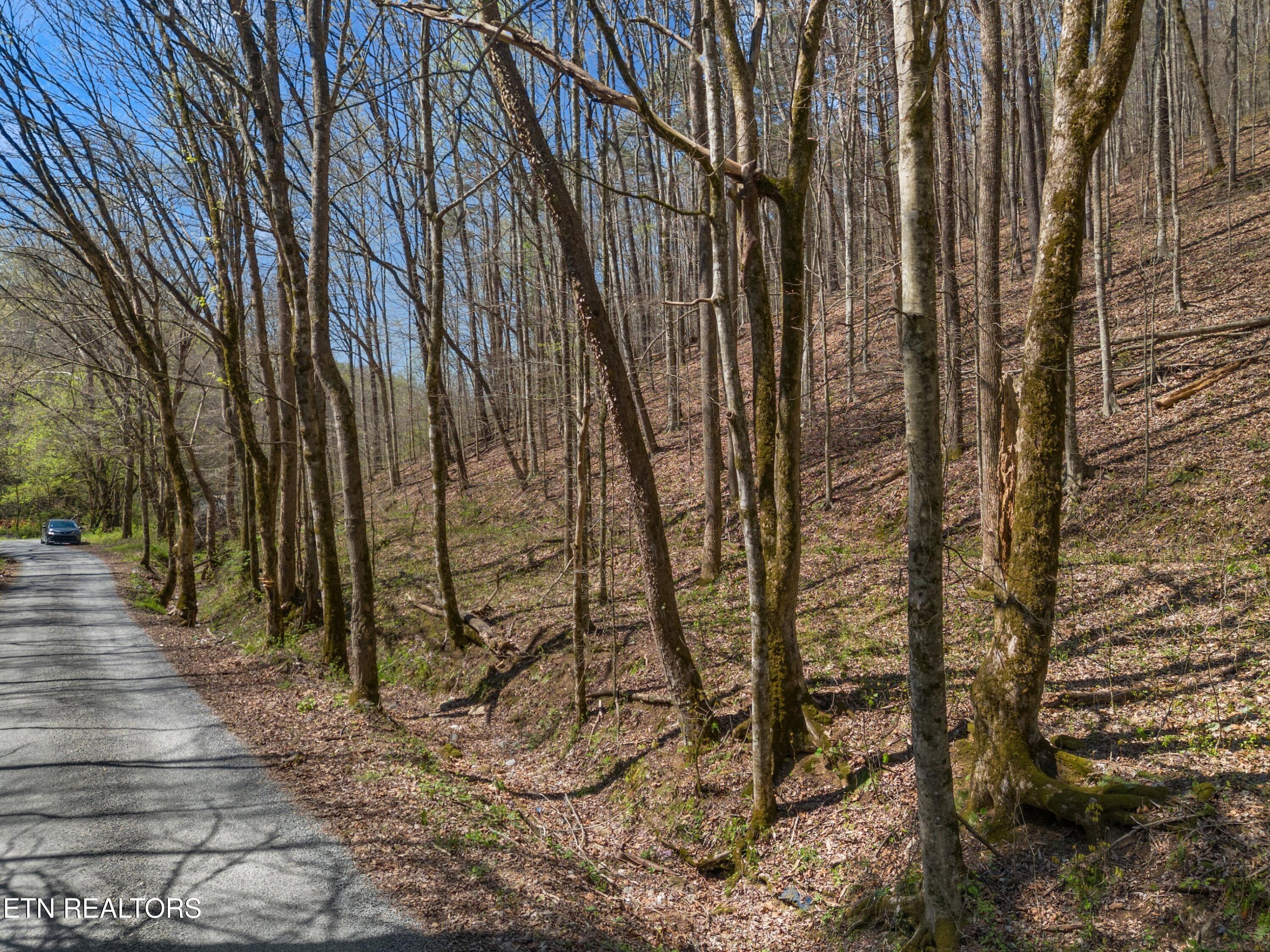 Greever Hollow Road Tazewell TN 37879