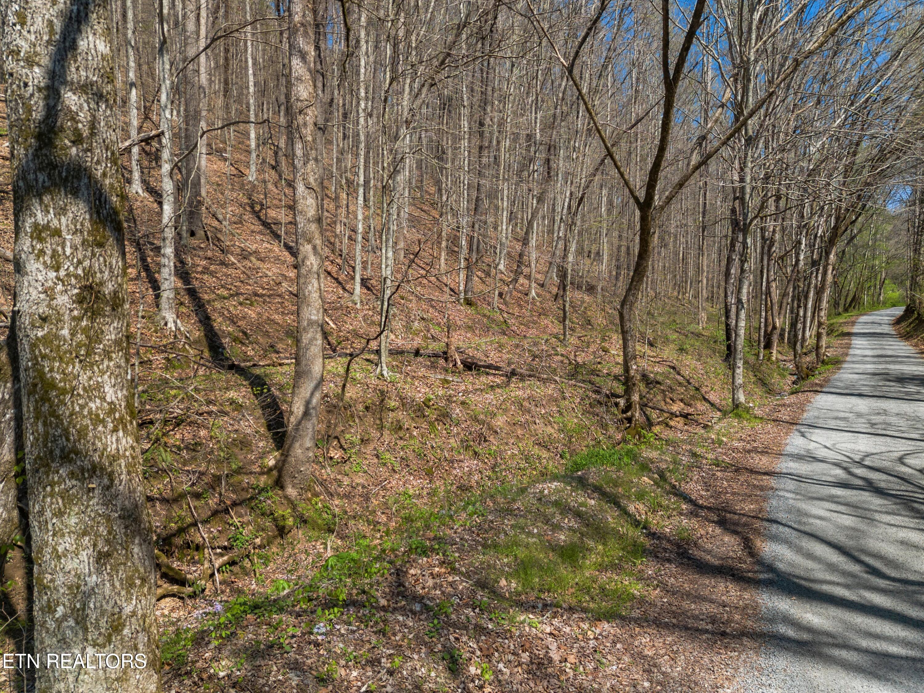 Greever Hollow Road Tazewell TN 37879