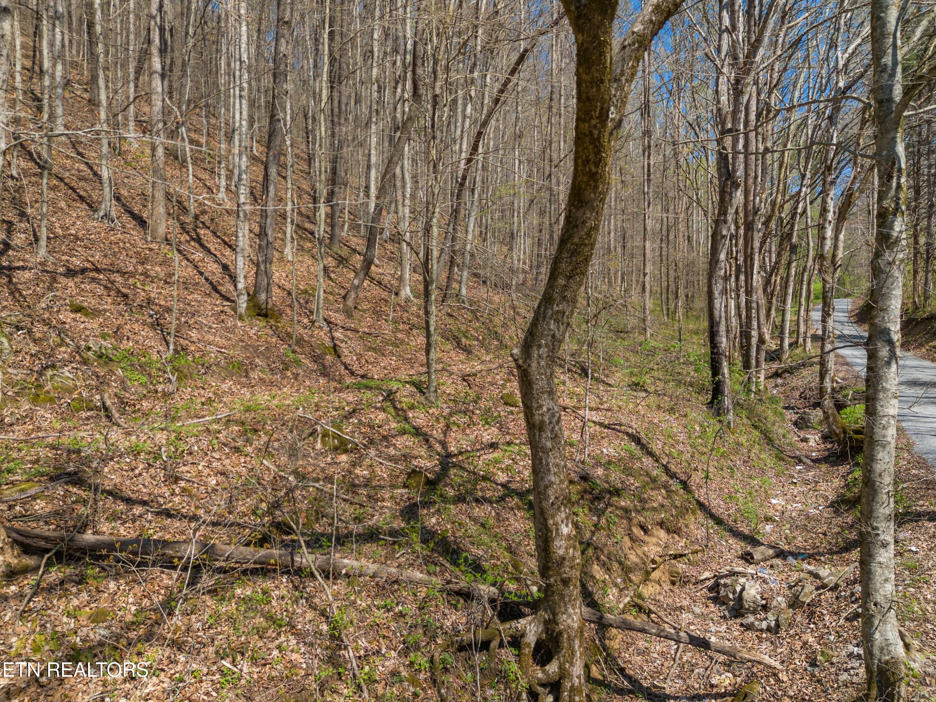 Greever Hollow Road Tazewell TN 37879