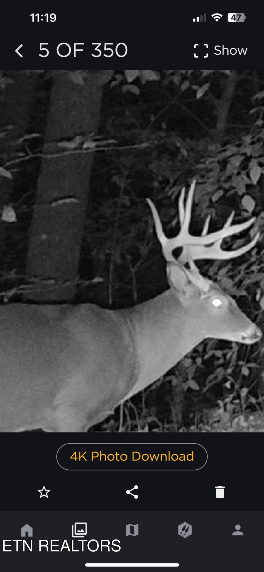Greever Hollow Road Tazewell TN 37879