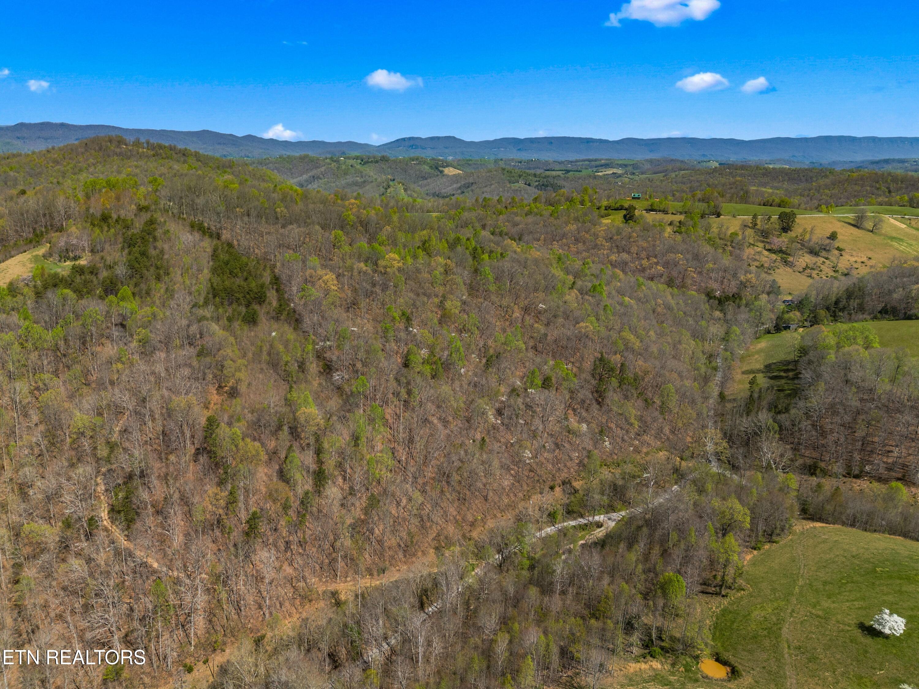 Greever Hollow Road Tazewell TN 37879