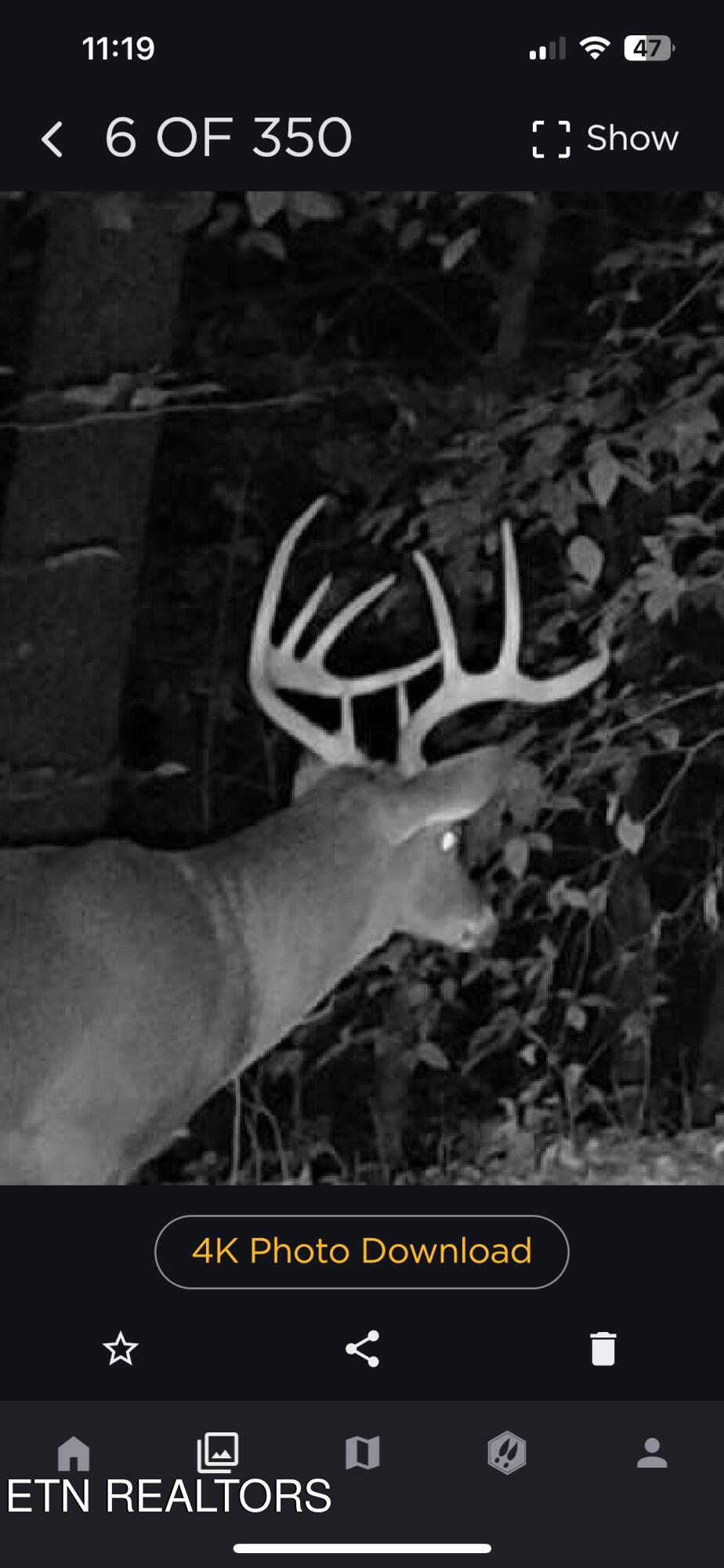 Greever Hollow Road Tazewell TN 37879