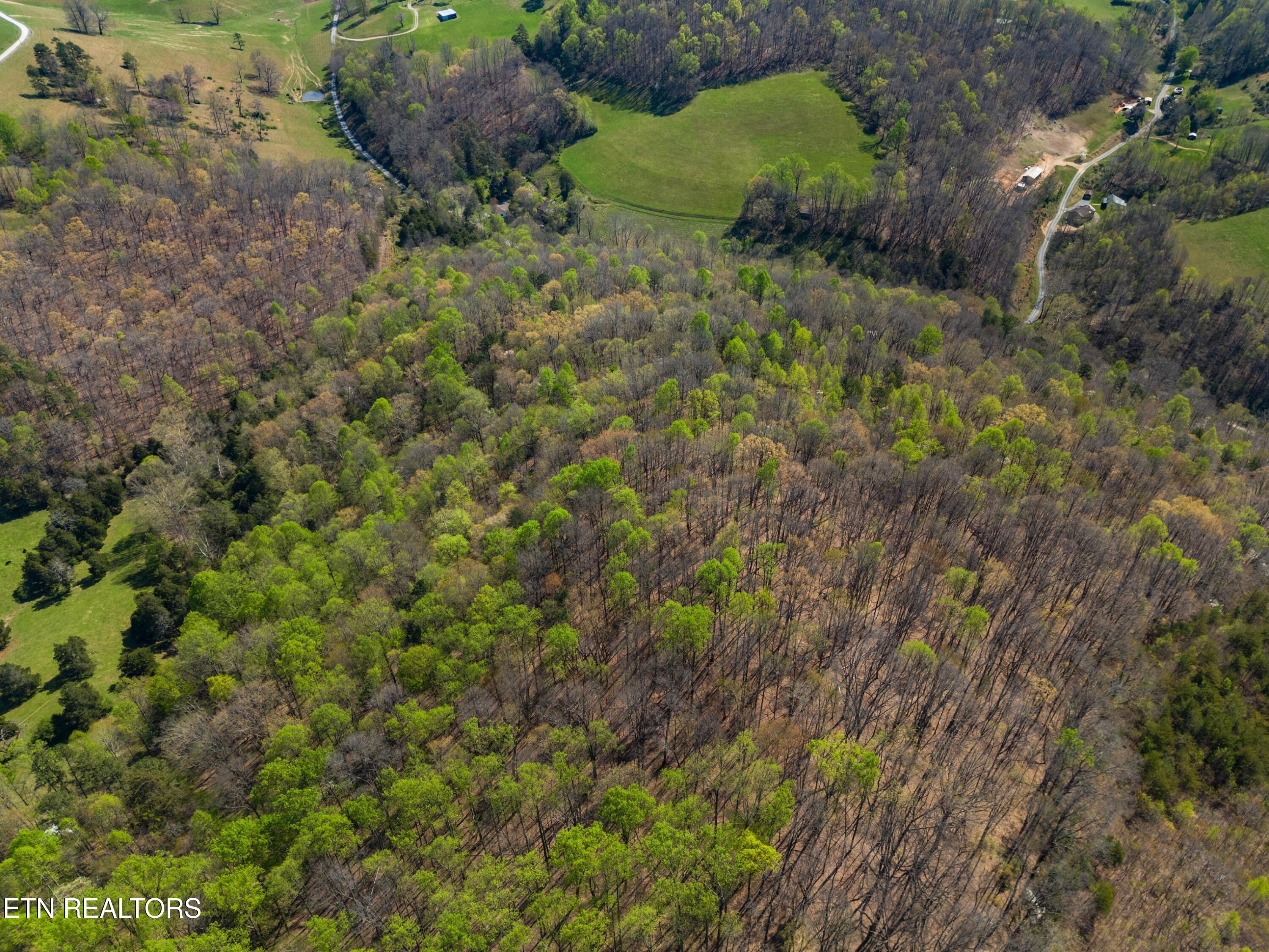Greever Hollow Road Tazewell TN 37879