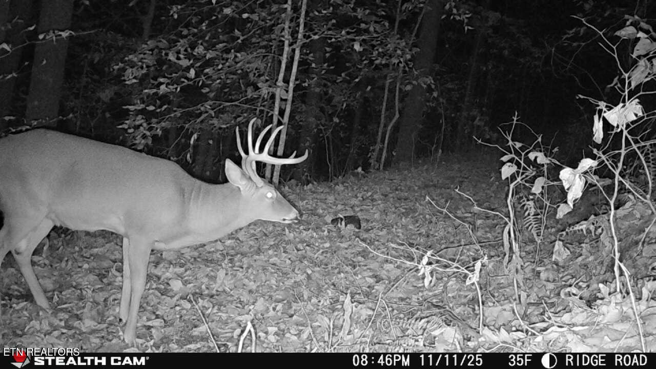 Greever Hollow Road Tazewell TN 37879