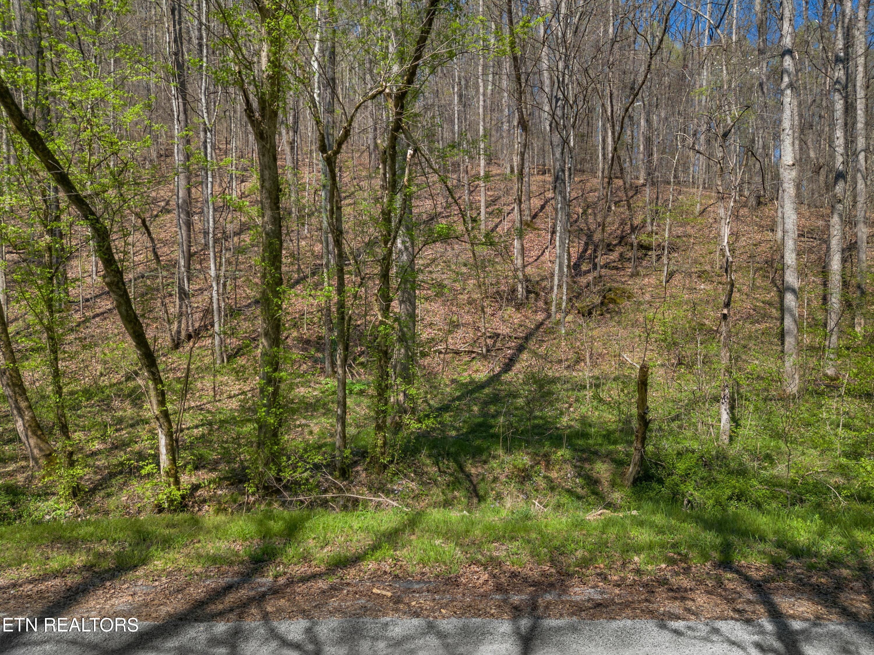 Greever Hollow Road Tazewell TN 37879
