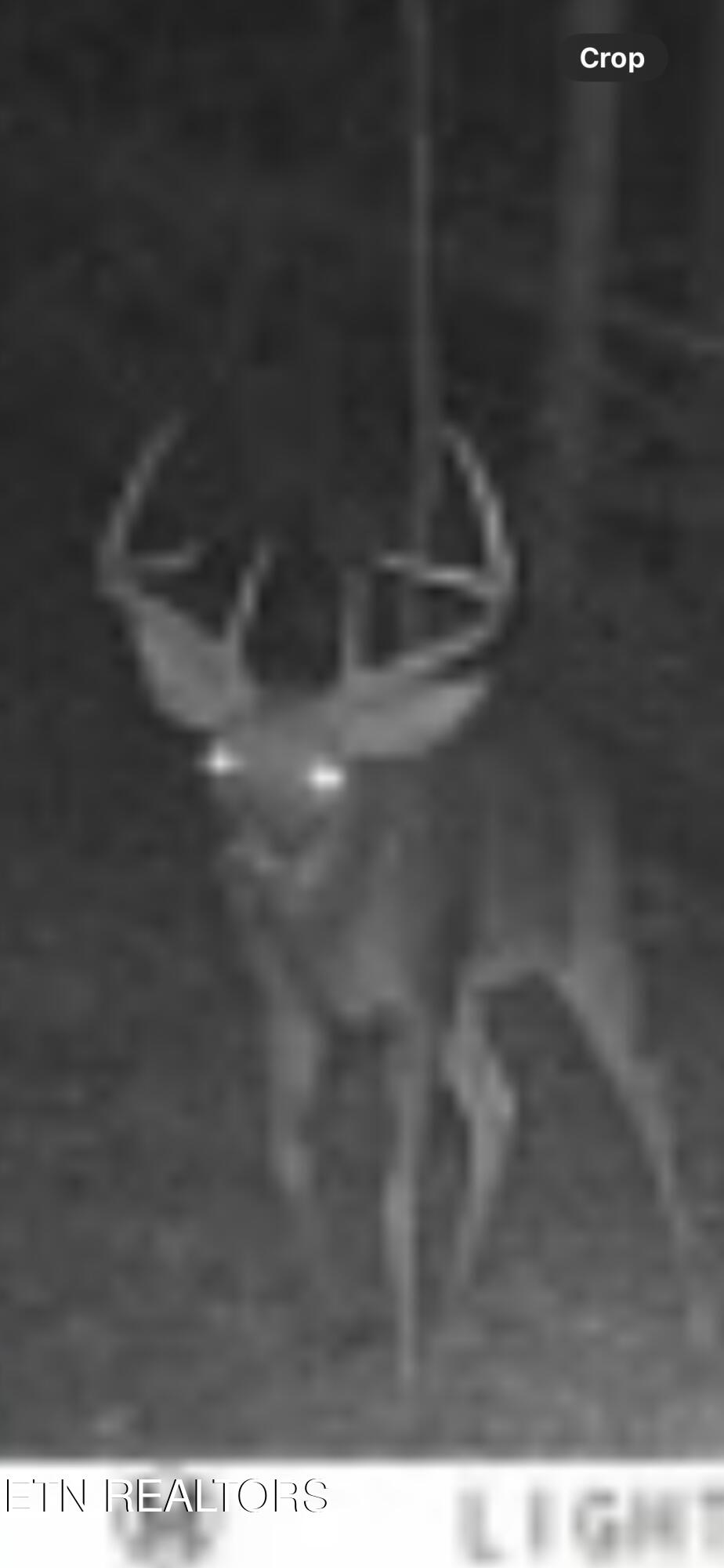 Greever Hollow Road Tazewell TN 37879