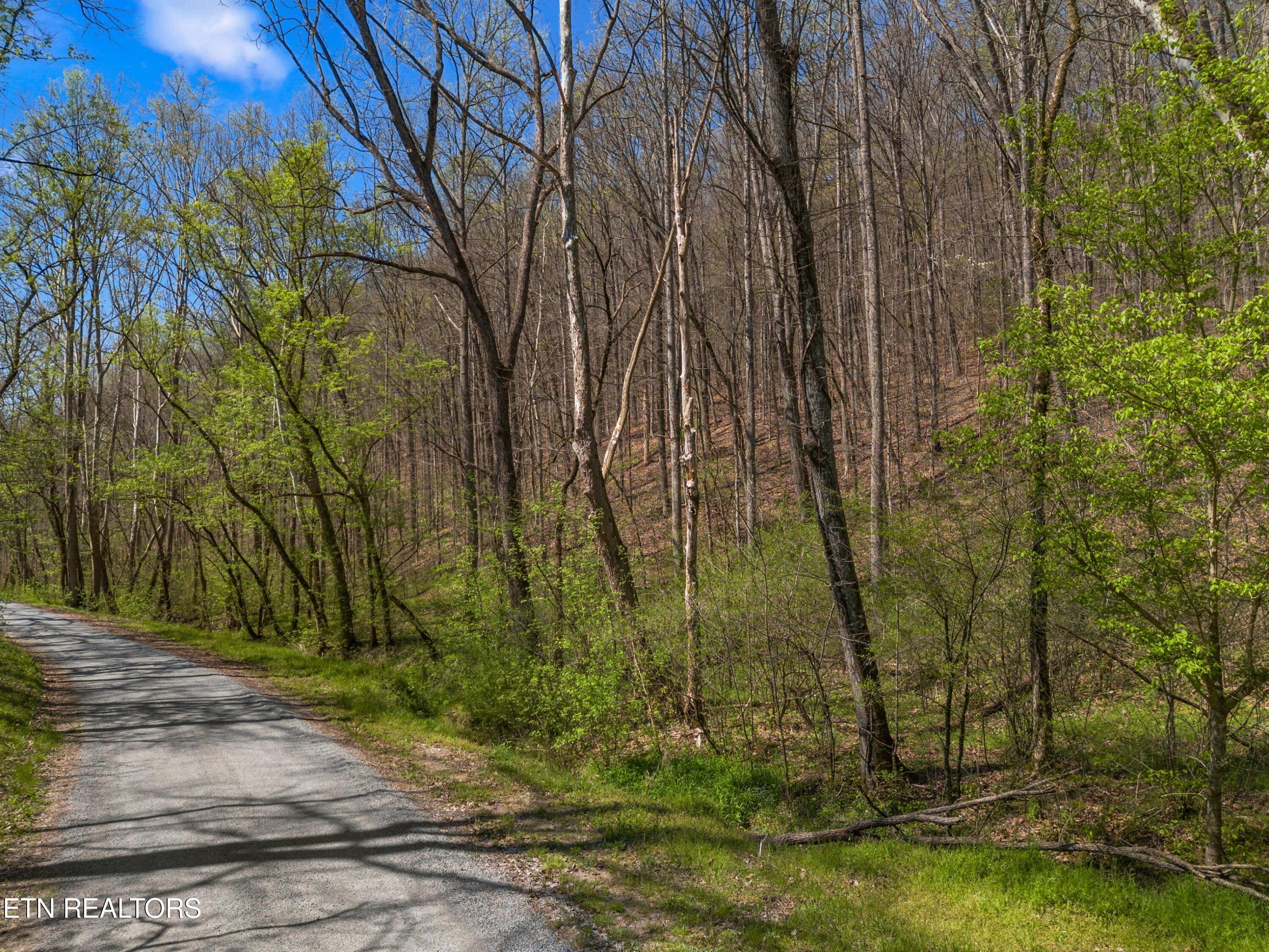 Greever Hollow Road Tazewell TN 37879