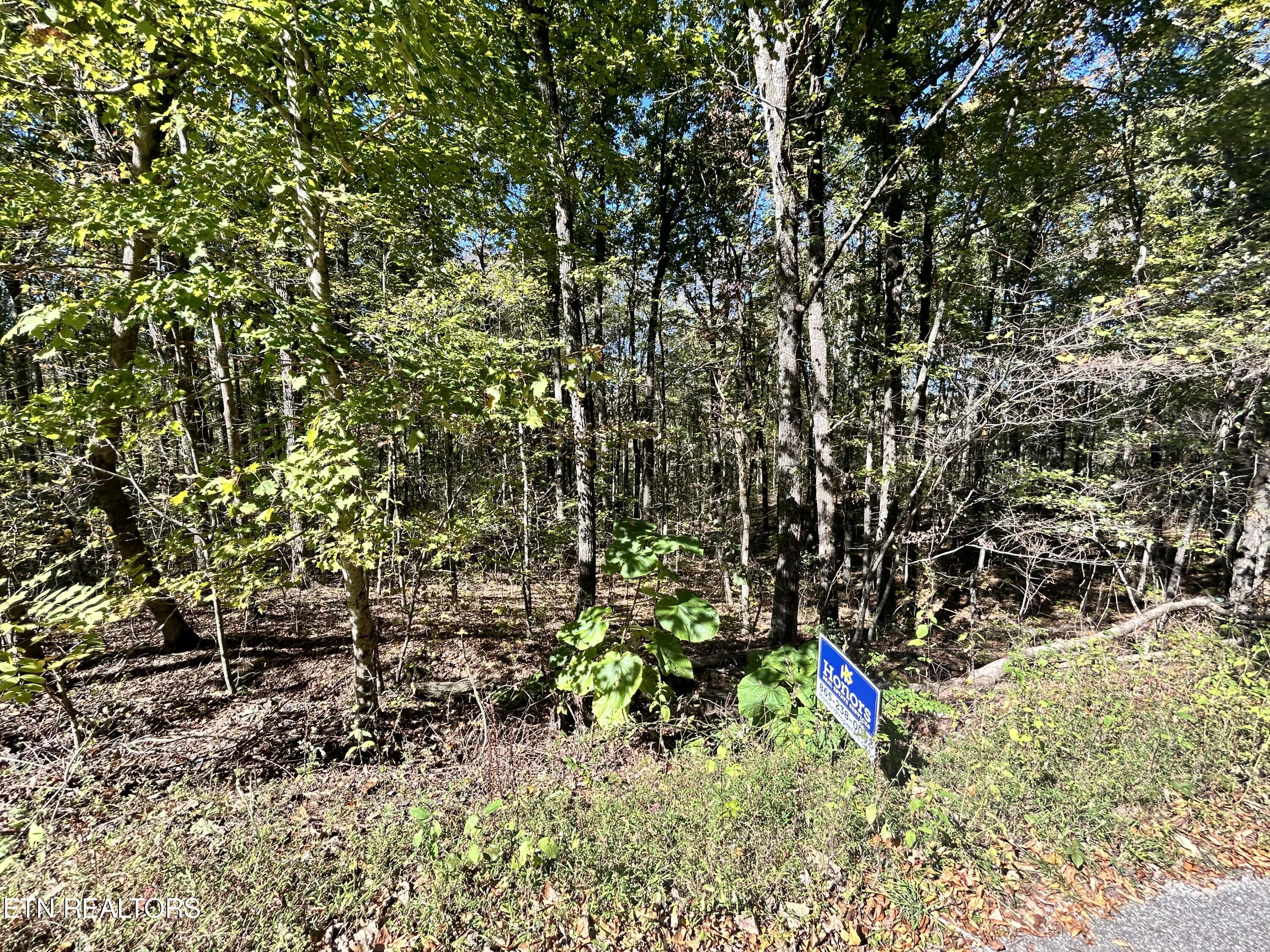 Siever Road Crossville TN 38572