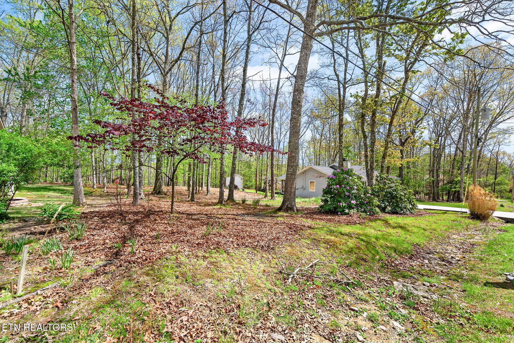 151 Glenwood Drive Crossville TN 38558
