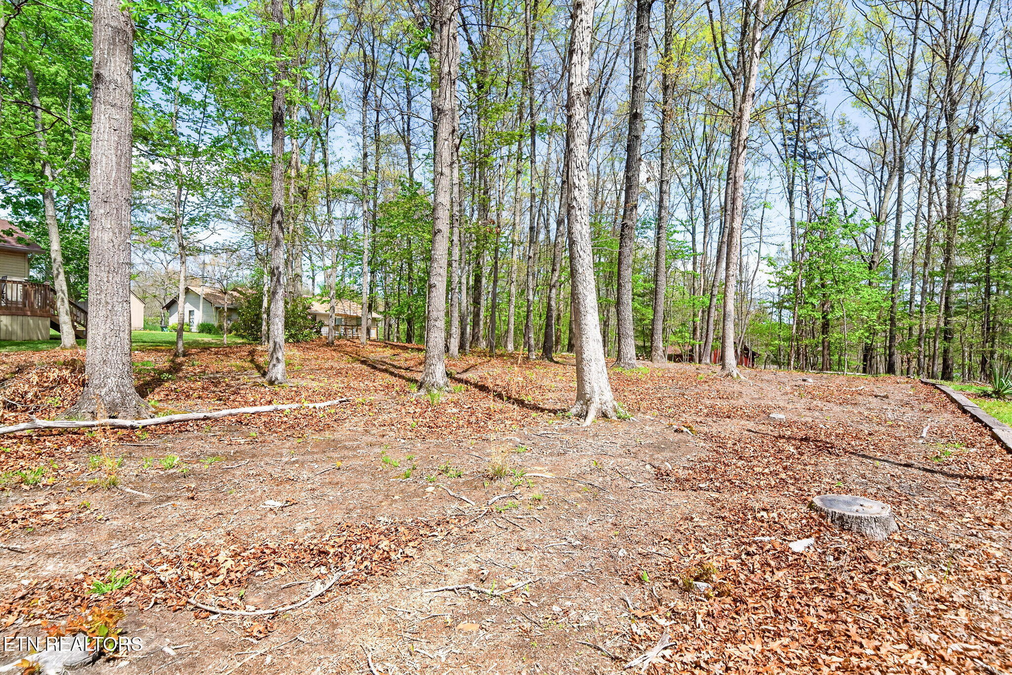 151 Glenwood Drive Crossville TN 38558