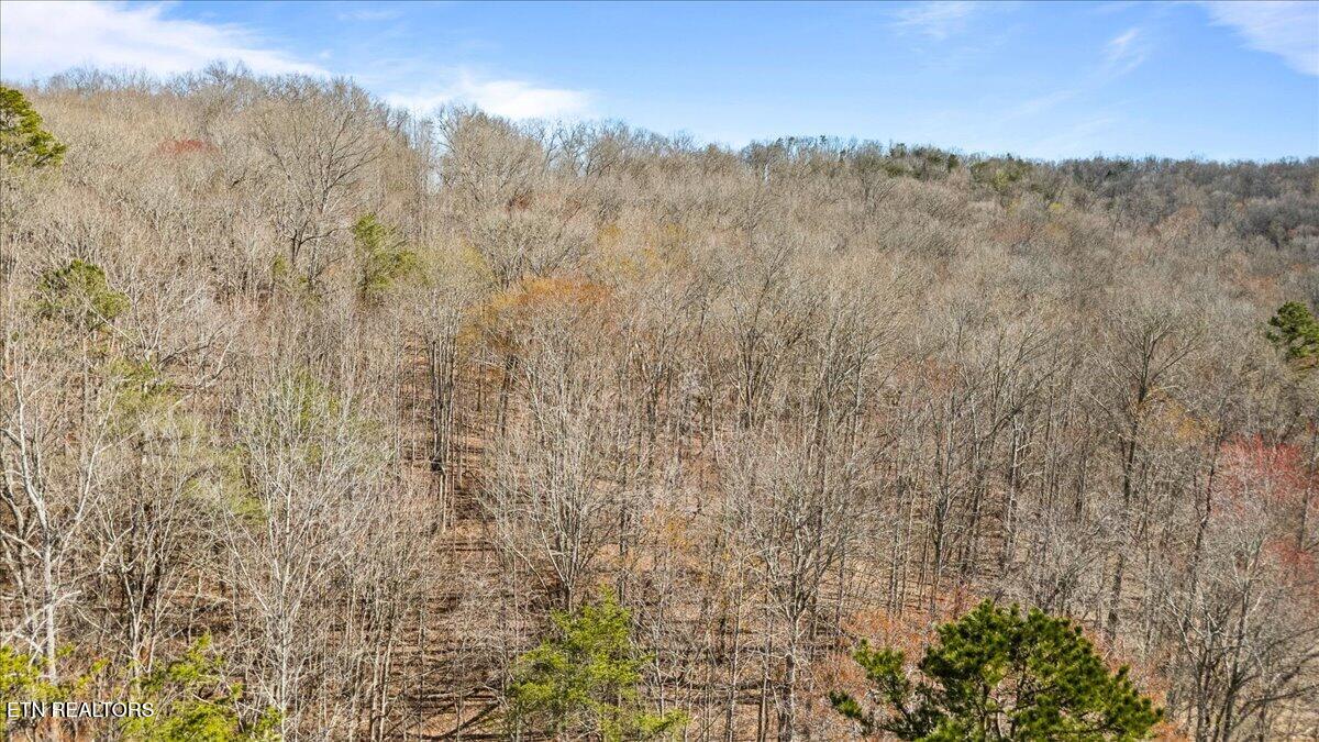 1.05AC Hiwassee View Drive Jacksboro TN 37757