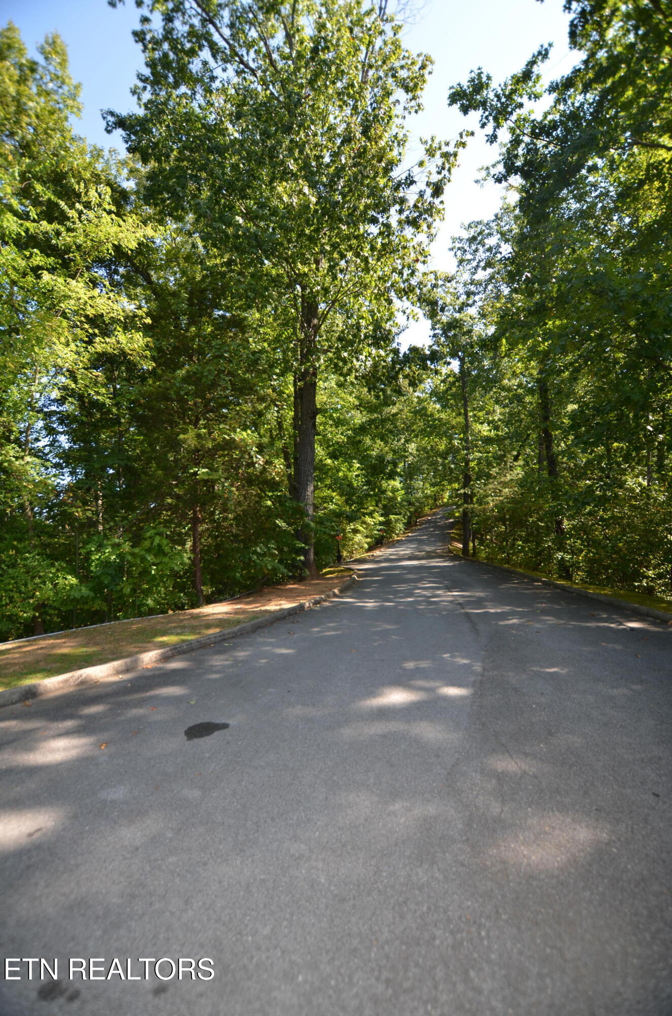 Hawks Nest Way Sevierville TN 37862